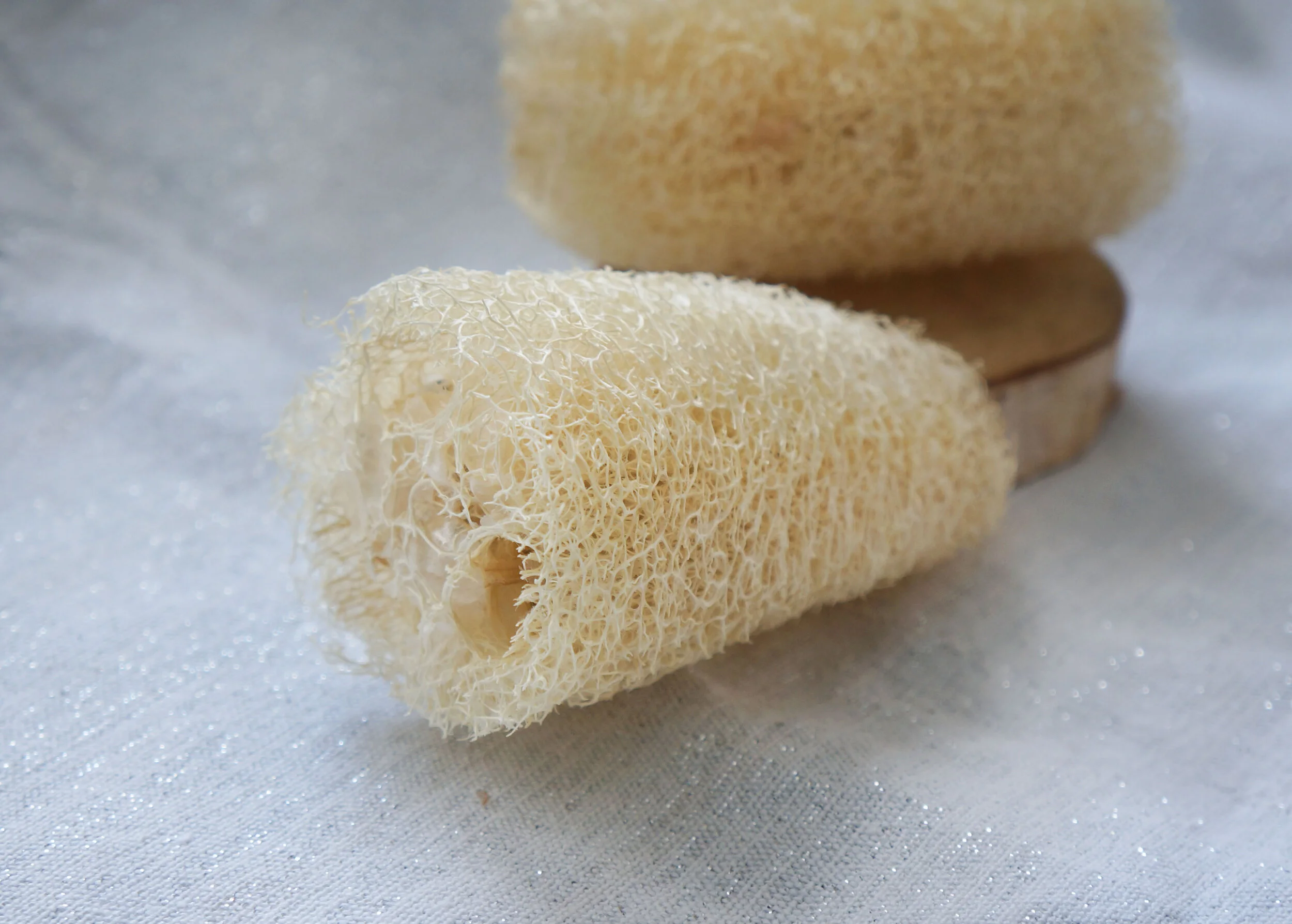 luffa1.jpg