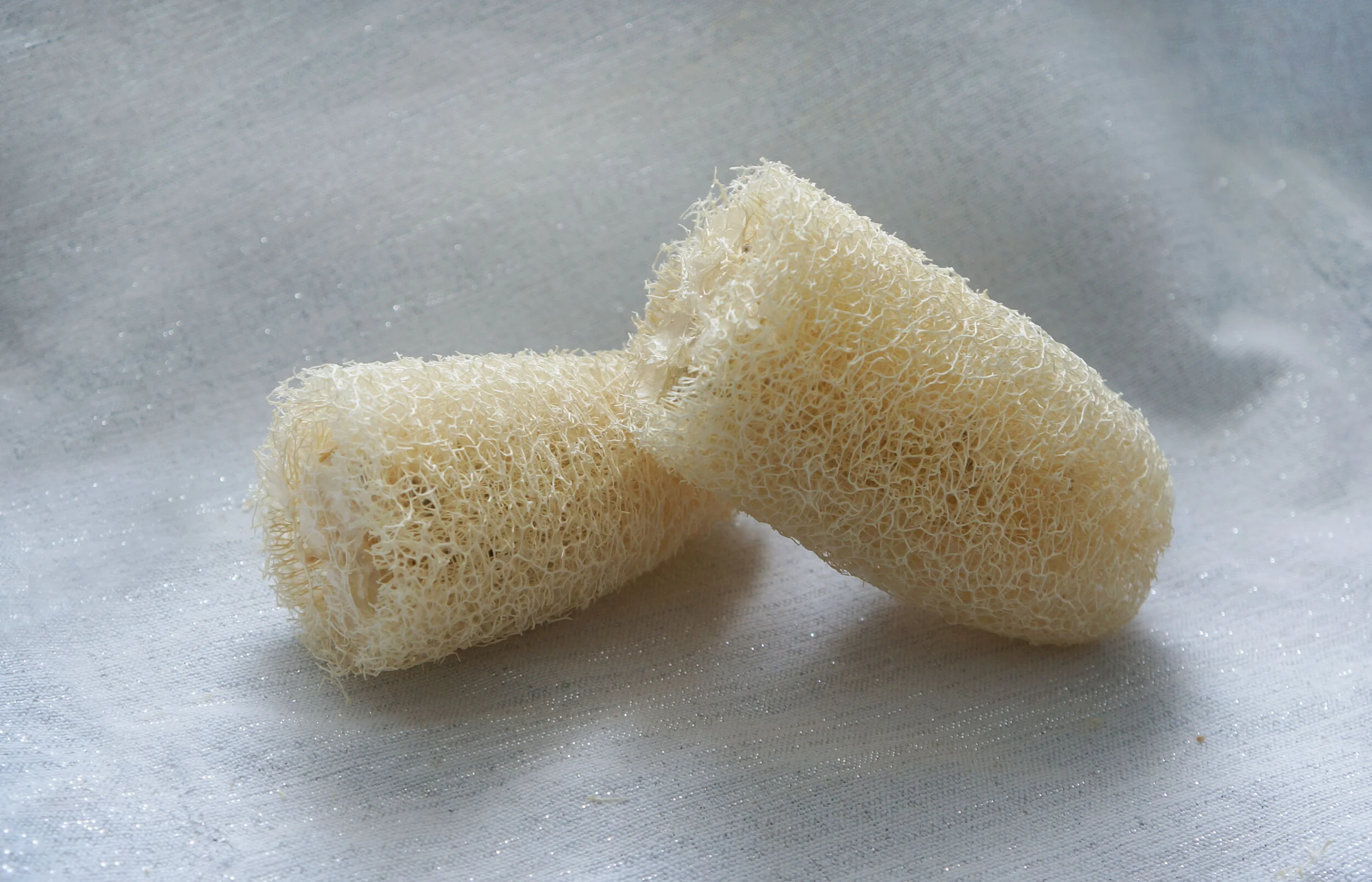 luffa2.jpg