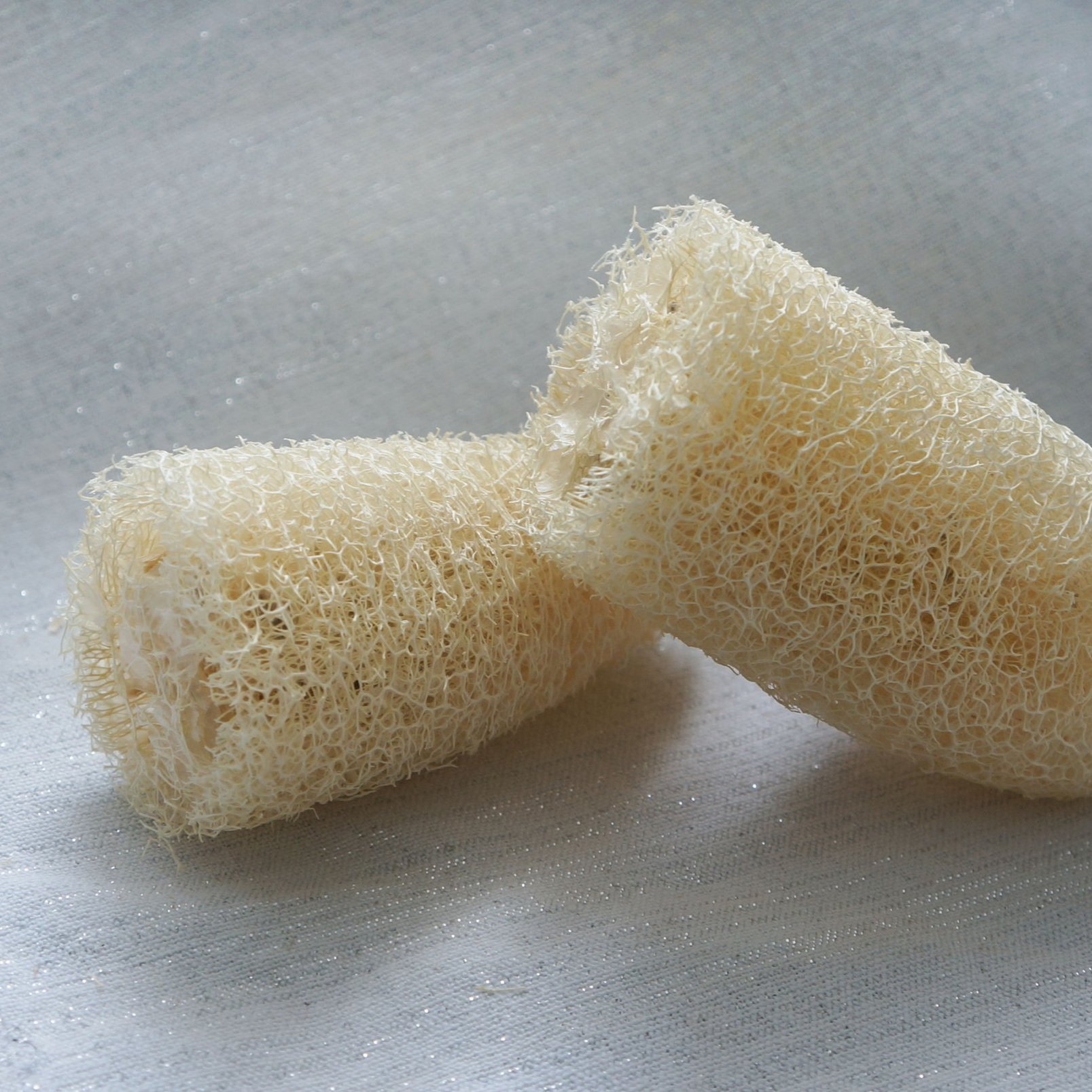 luffa2.jpg