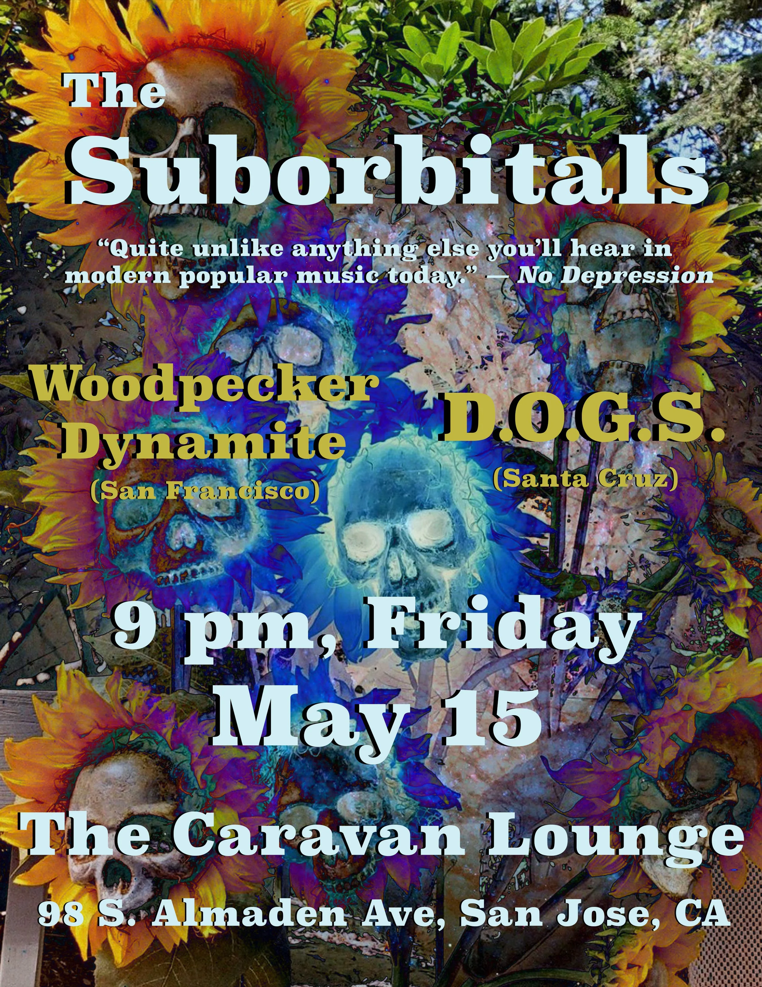 The Suborbitals, Woodpecker Dynamite, The D.O.G.S. Band