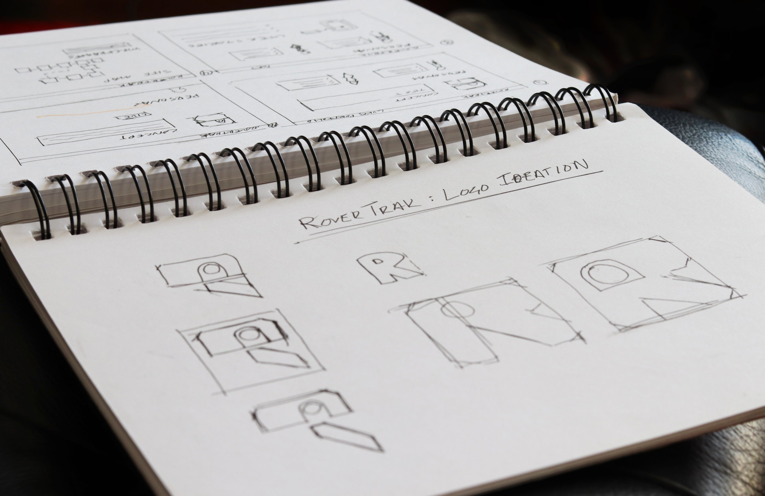 rovertrak-logo-ideation.jpg