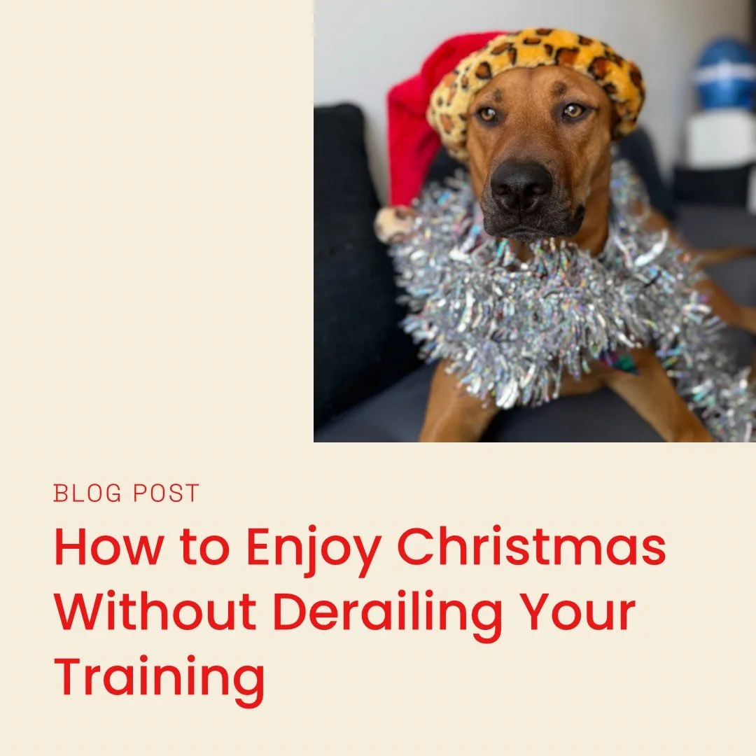 How to Enjoy Christmas Without Derailing Your Training
