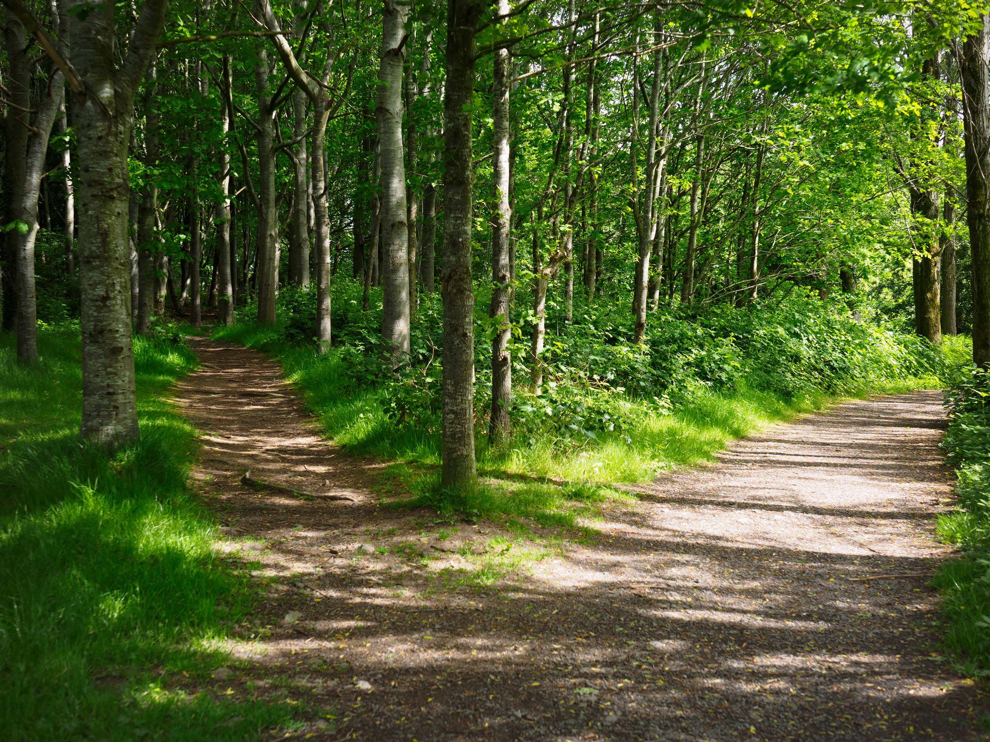 Hidden Ridge Camping Walking Trails