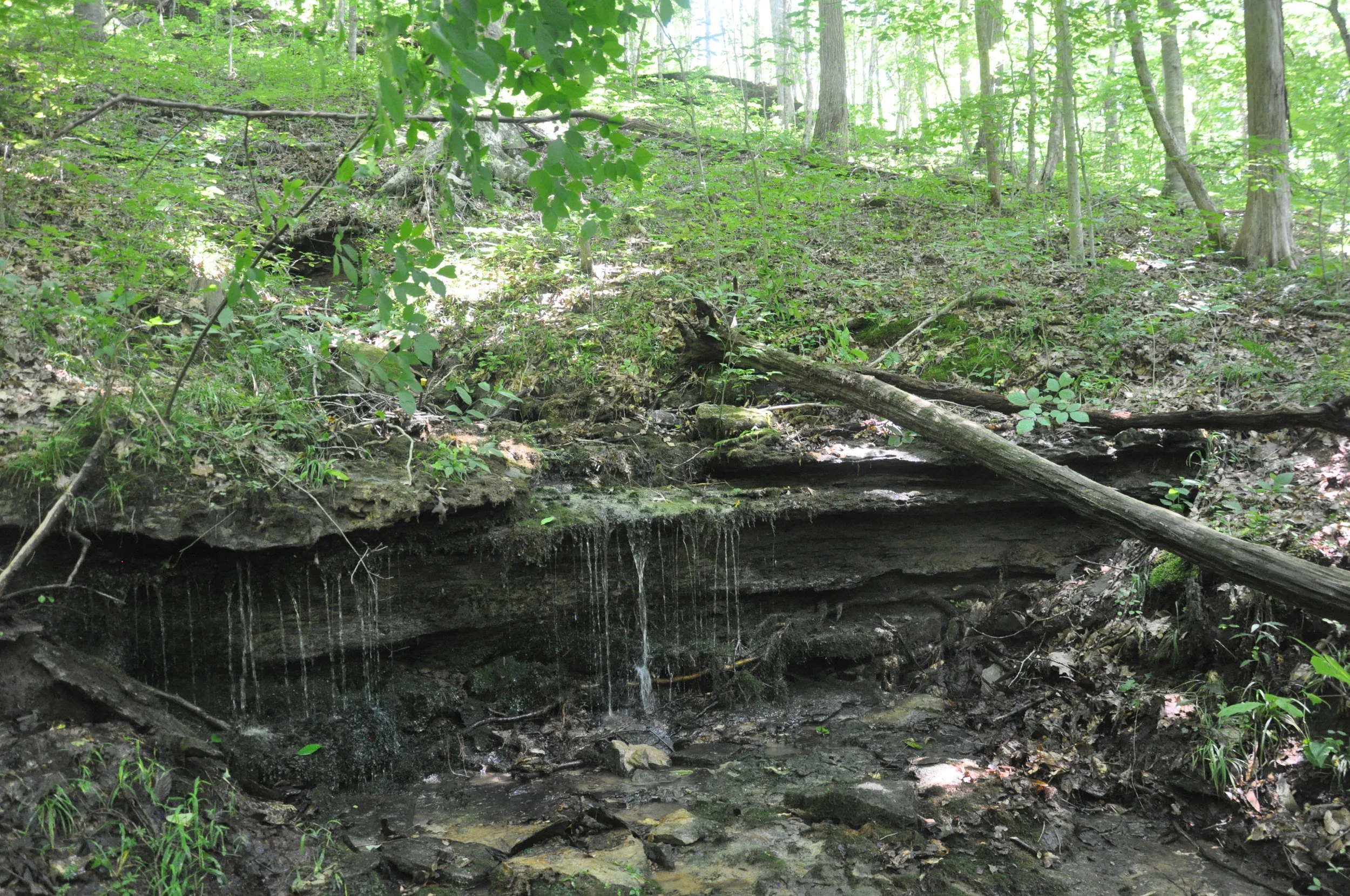 Natural Spring Lake Cumberland.JPG