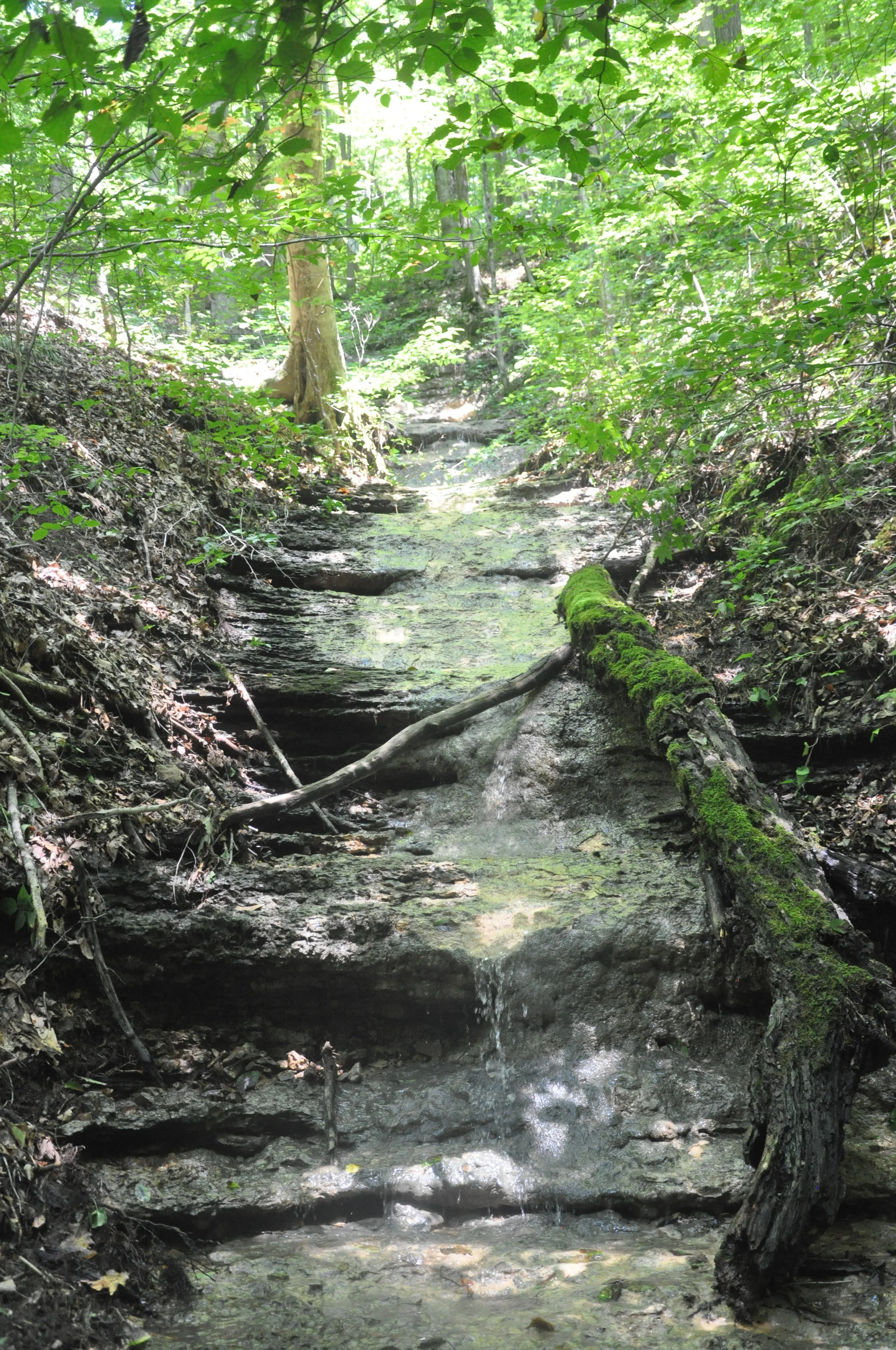 Creek to Lake Cumberland.JPG