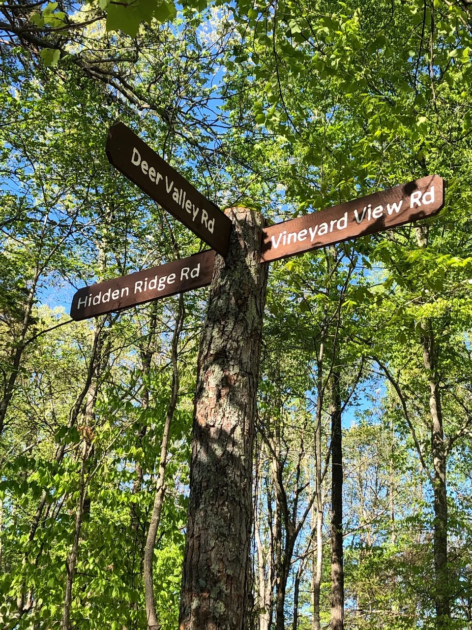 signs.jpeg