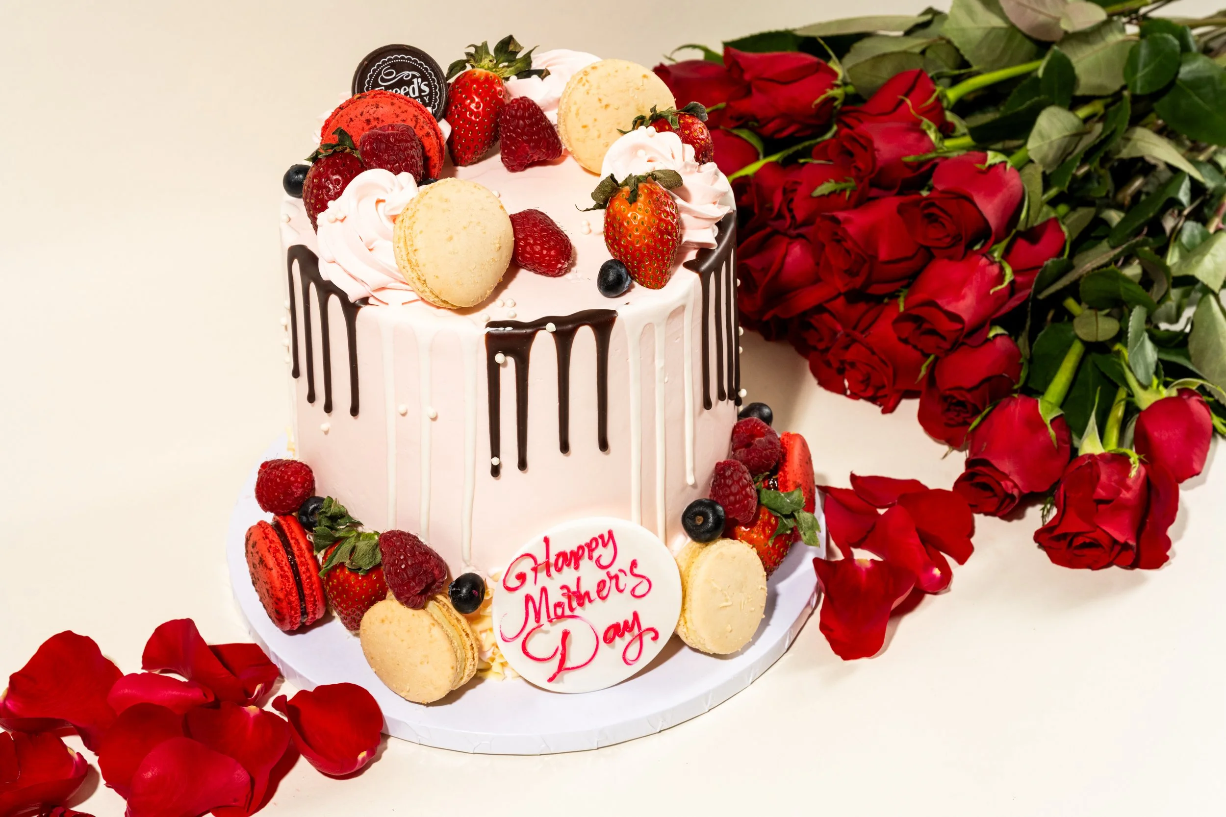 websiteupdate-1-13.jpg