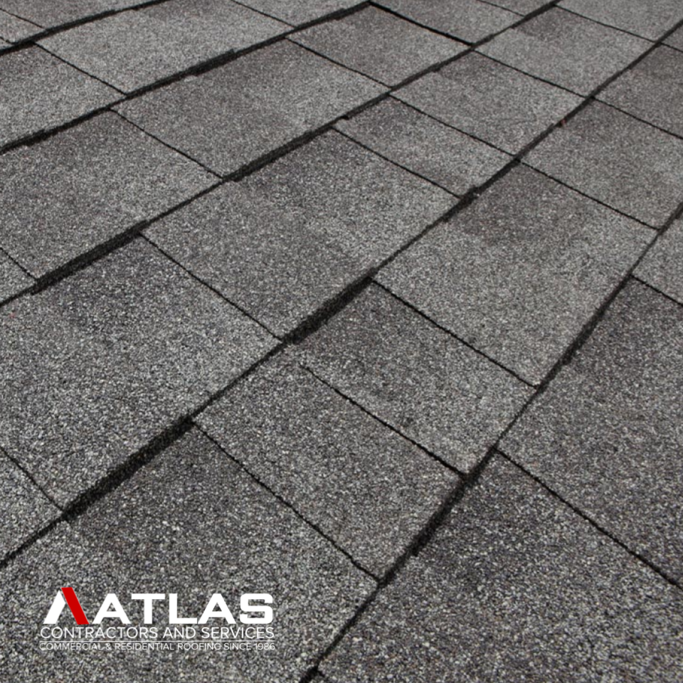 Roofing Company Dallas.png