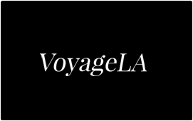 voyagela logo.png