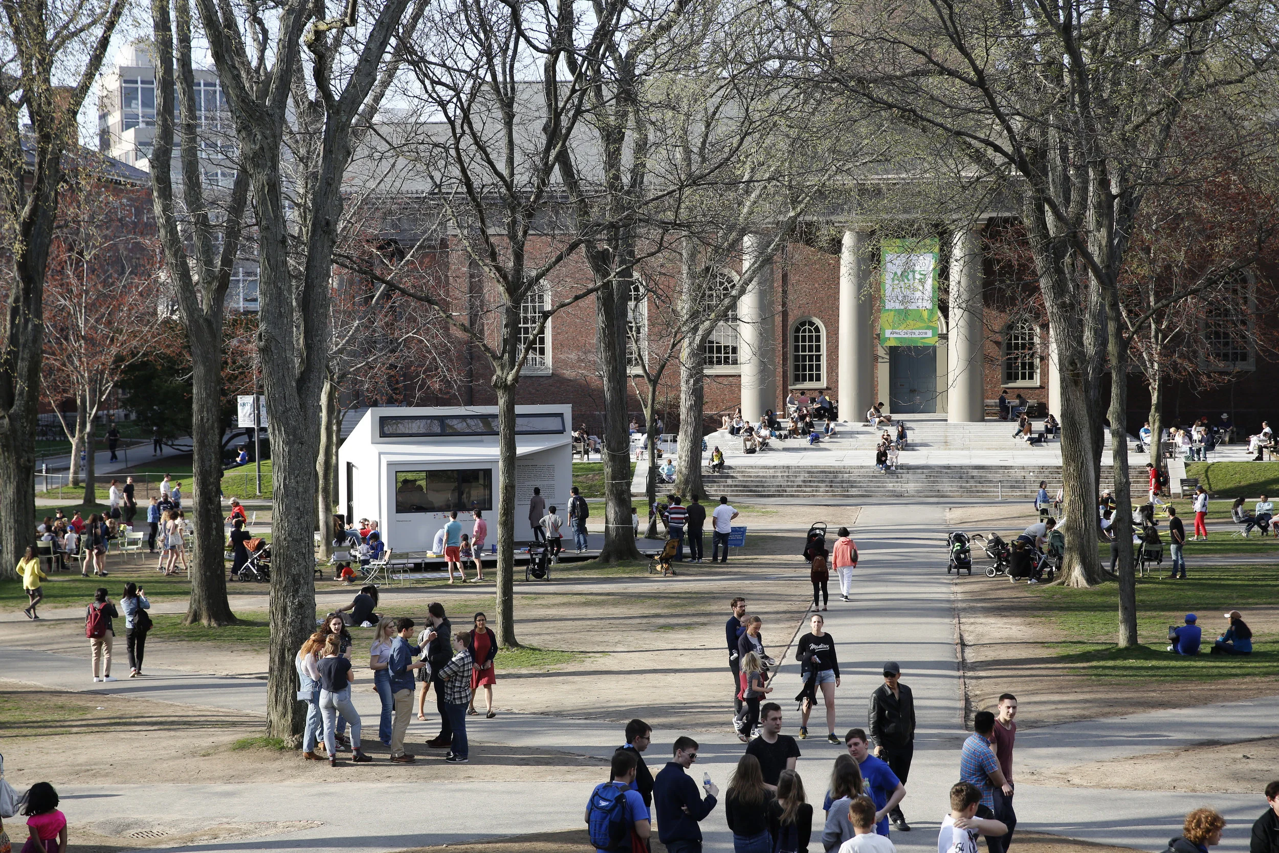 Harvard Yard.jpg