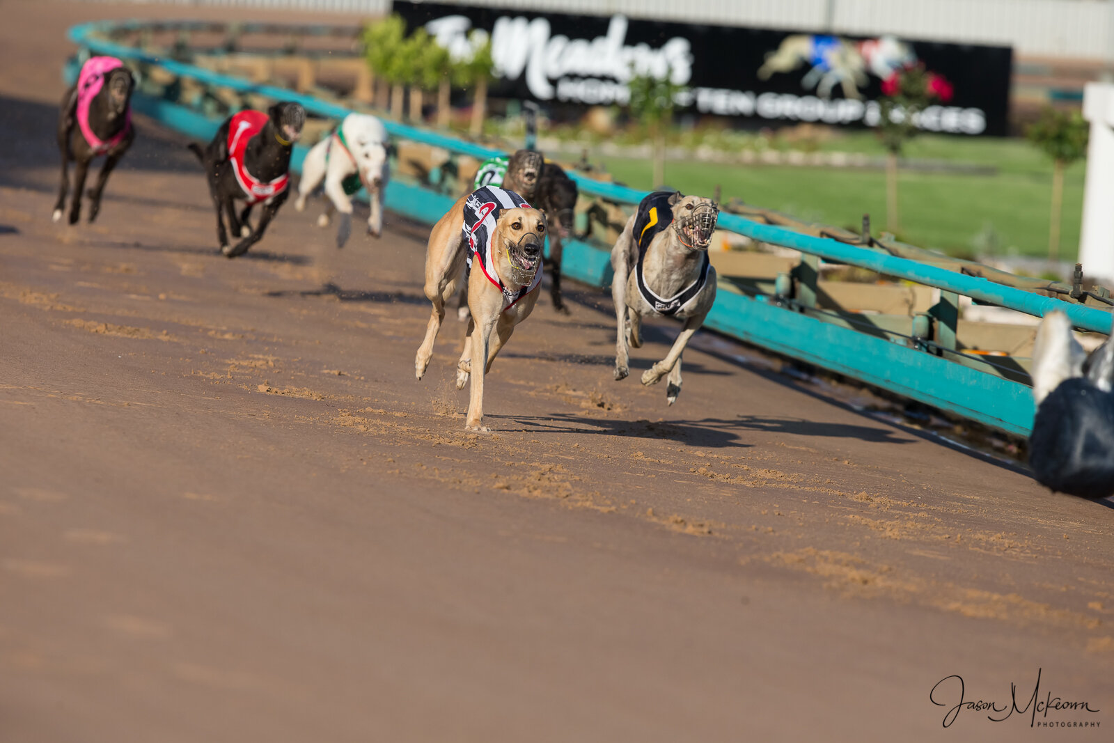 Annual Troy Little Super Pass