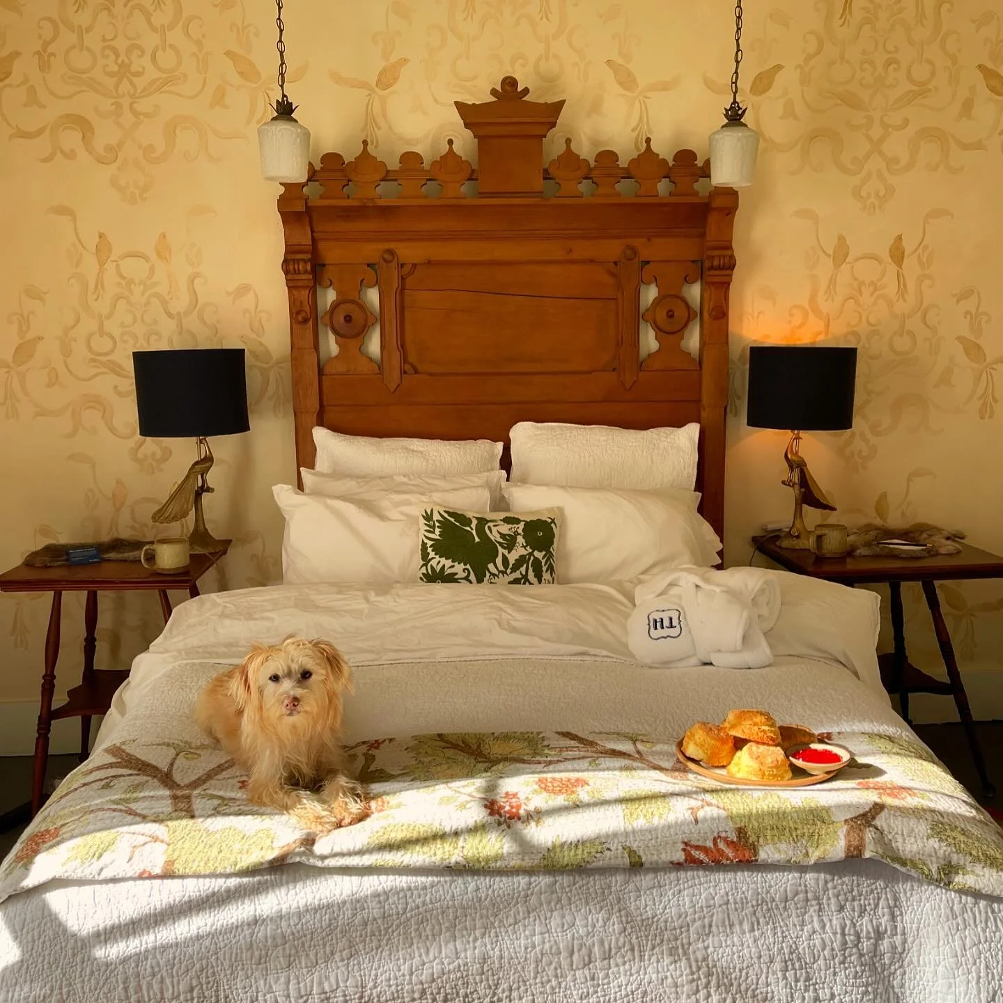 JUST A FEW ROOMS LEFT FOR LABOR DAY WEEKEND! BOOK NOW FOR BUY 2 NIGHTS GET THE THIRD NIGHT FREE! 💛💛💛#bigfoodbiglove #tokeland #summertime