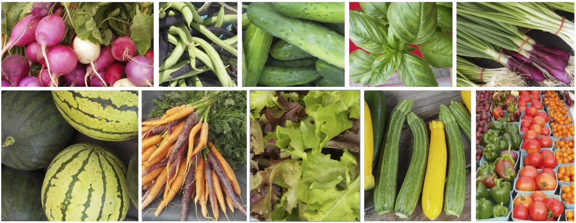 farmworks share image.jpg