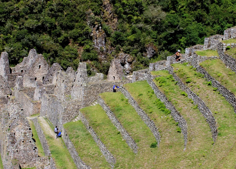 Inca Agriculture Innovations