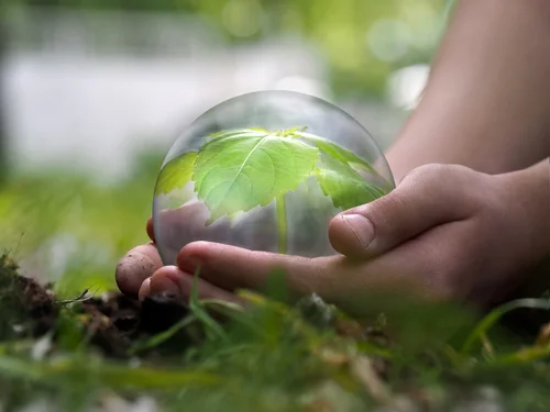 Lent is a good time to look at ways of cutting back in practical ways which will help build up our fragile earth, God’s creation (Image: Shutterstock).