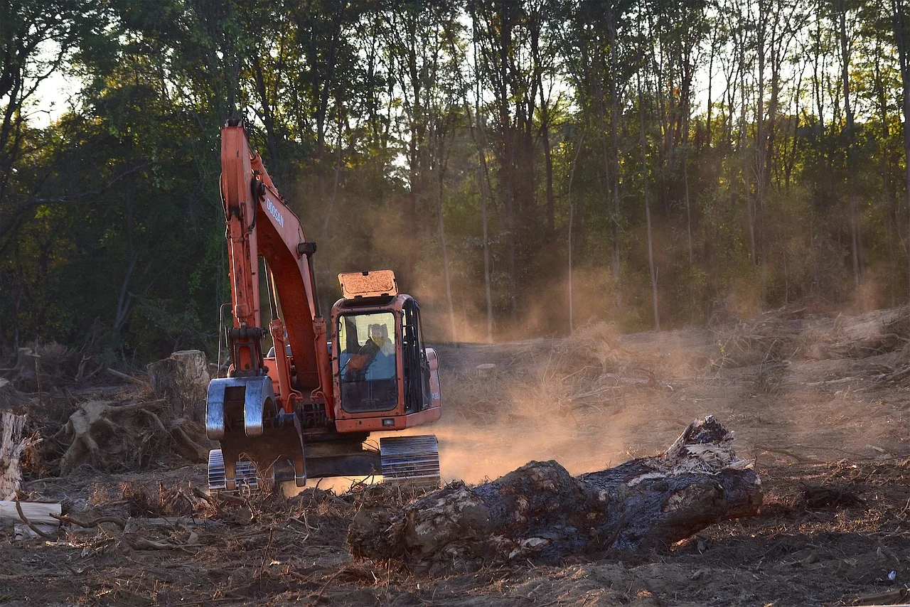 Deforestation.jpg