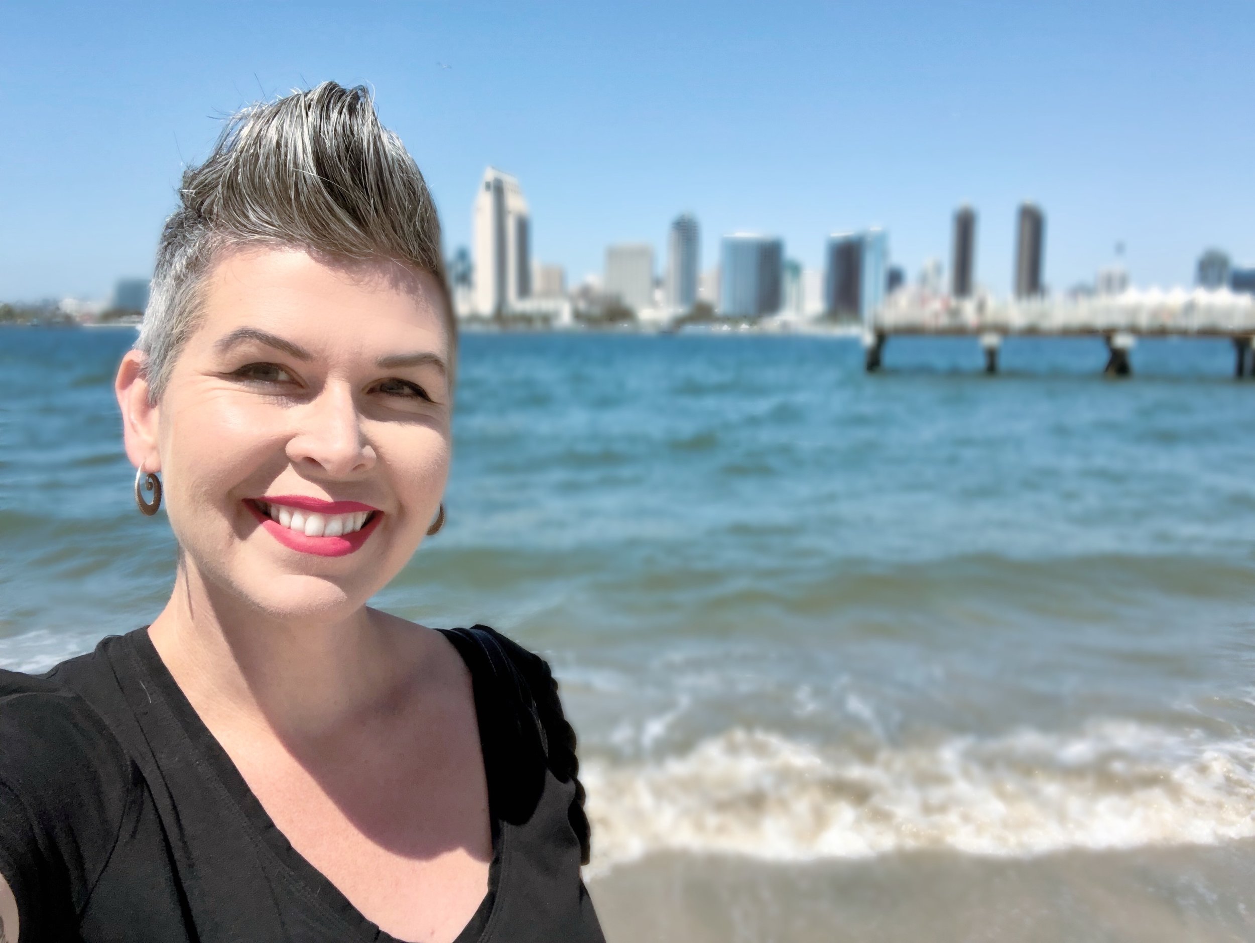 SDVoyager magazine write up 