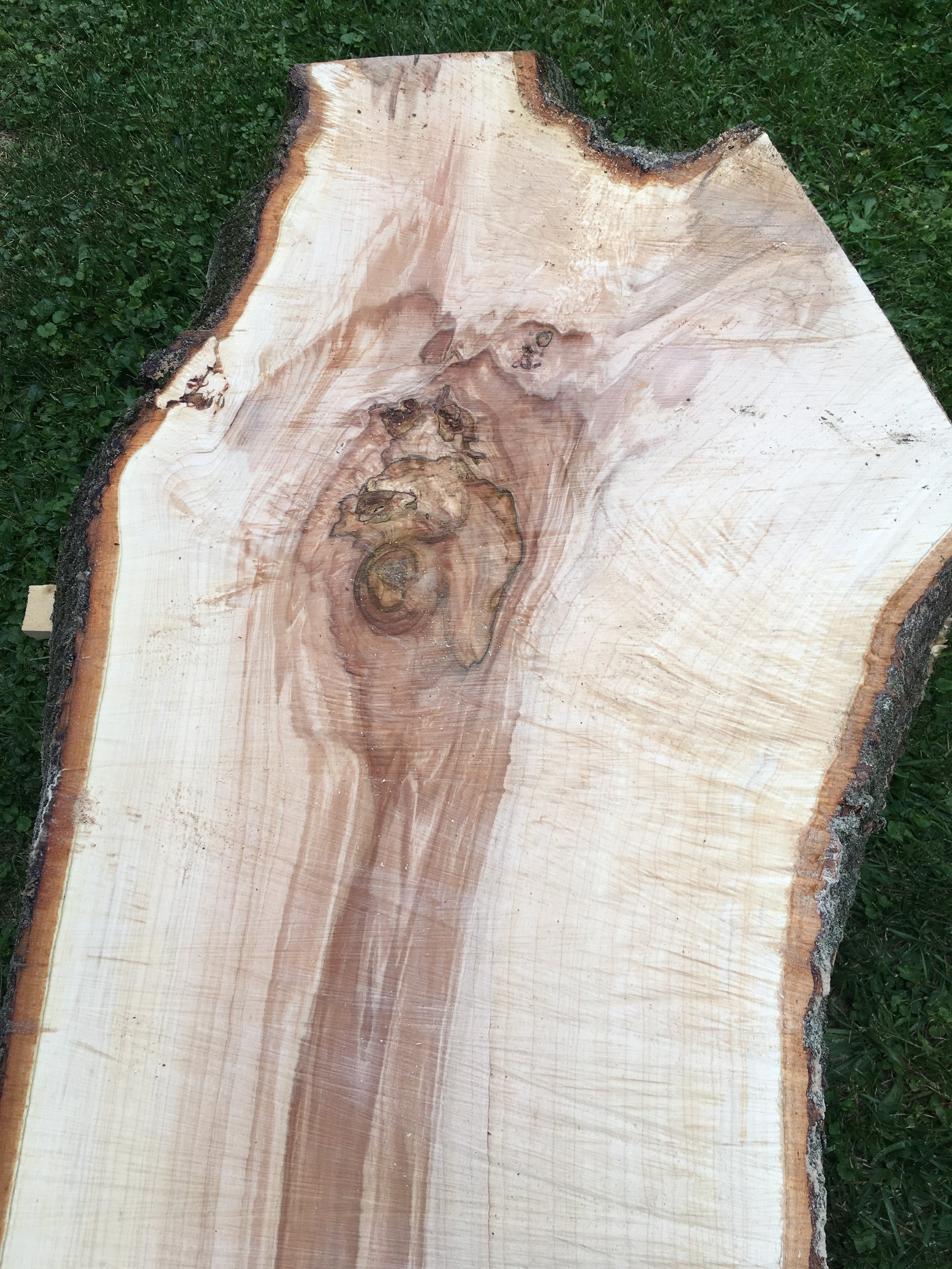 Norway Maple Fort Wayne, IN — Big Tooth Co. Custom Furniture & Design