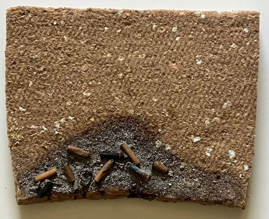 Butts Under a Starry Sky.jpg