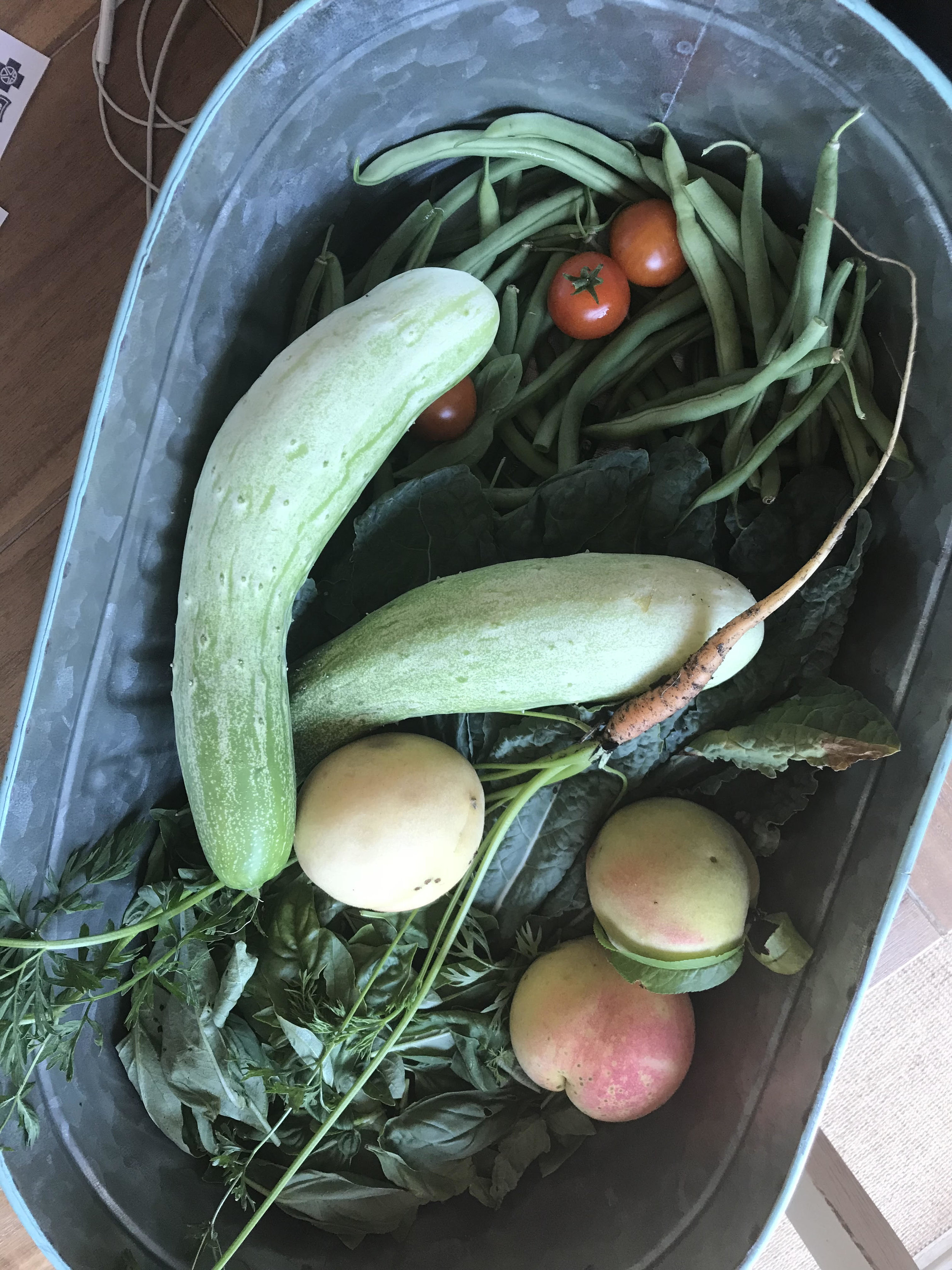 Garden Harvest 1.jpg