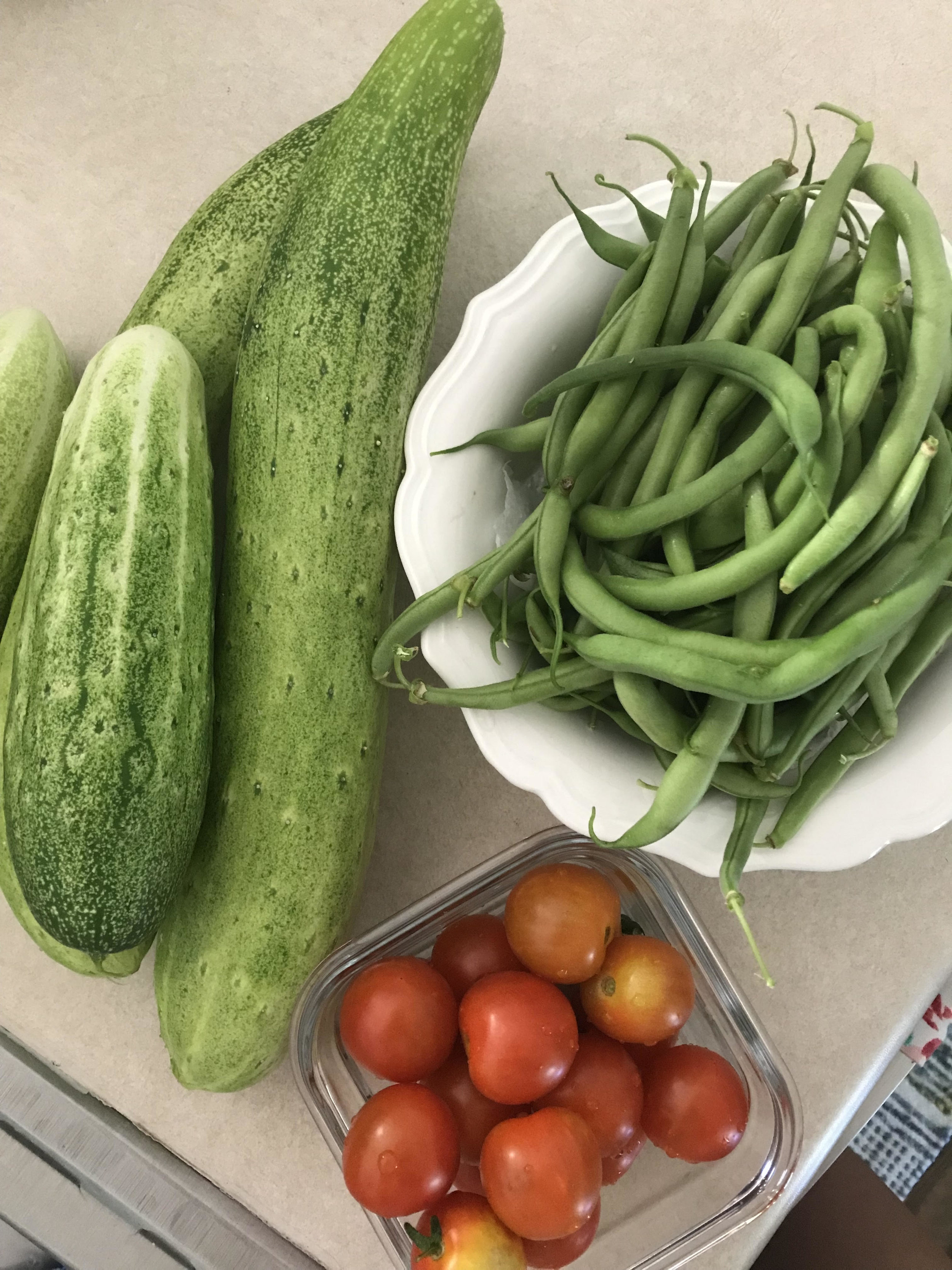 Garden Harvest 2.jpg