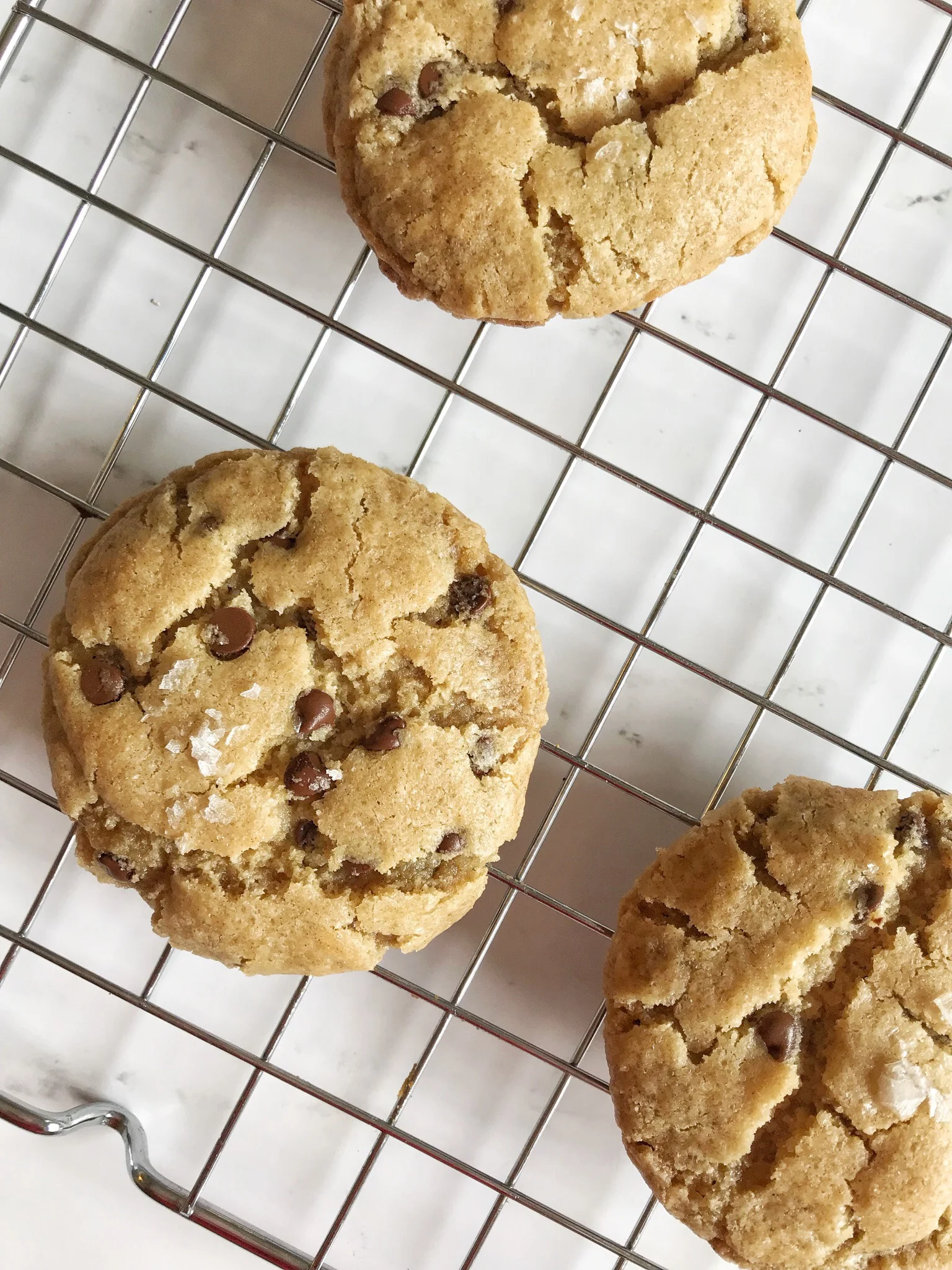Cookie 3.jpeg