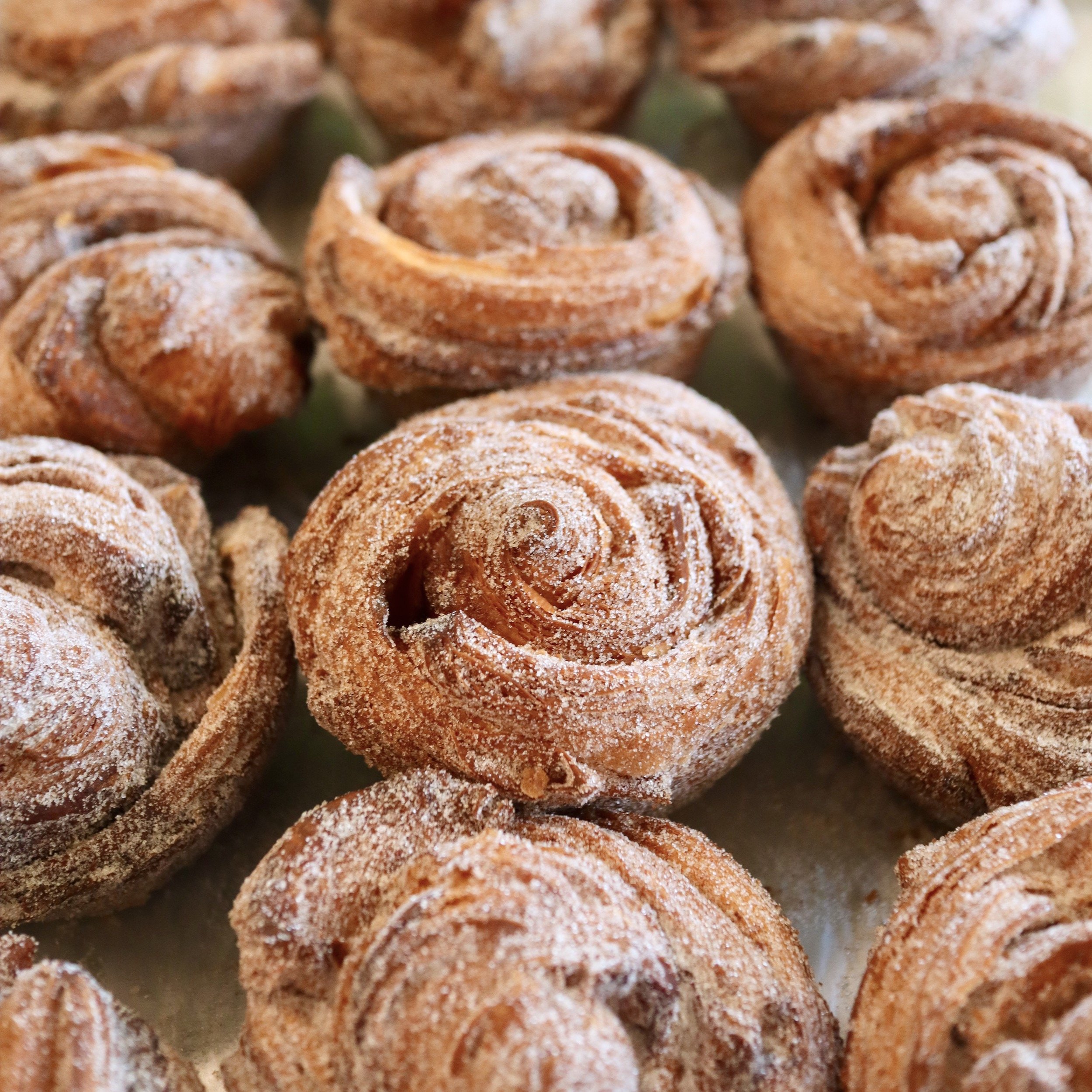 thisisfrankies-bakery-patisserie-cinnamon-morning-bun.JPG