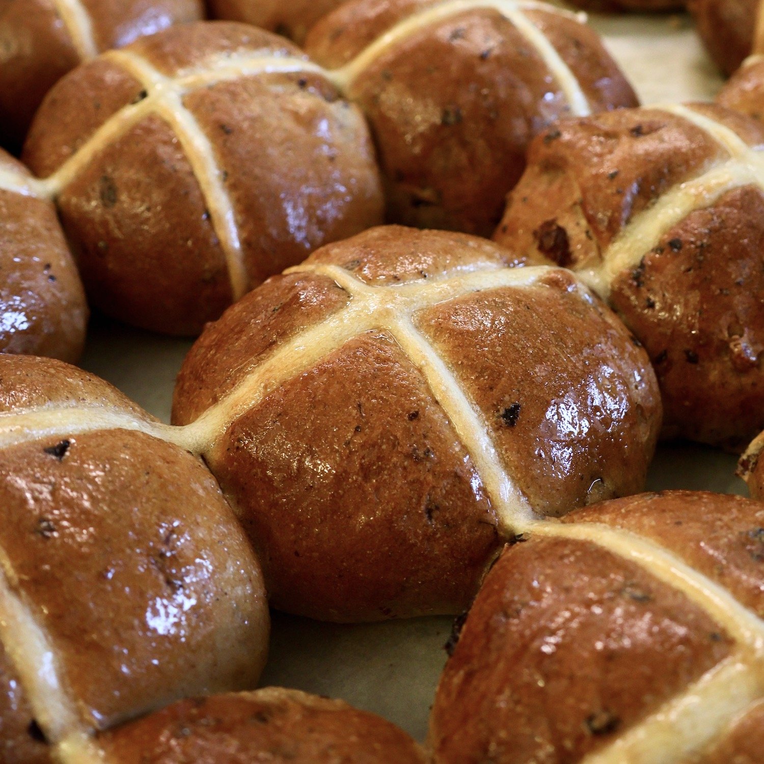 hot-cross-buns-patisserie-bakery-albury.JPG