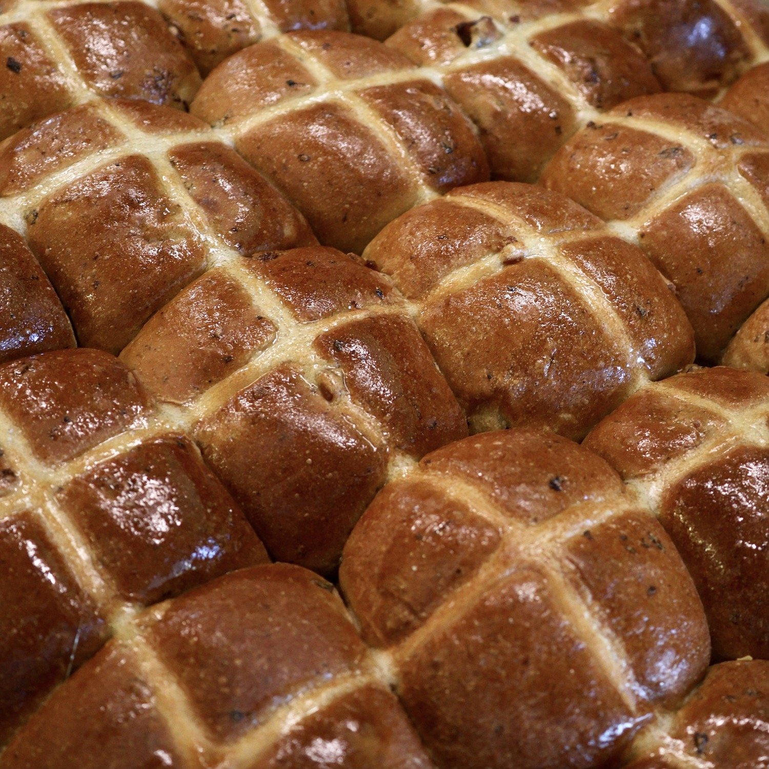 hot-cross-buns-frankies-albury-bakery.JPG