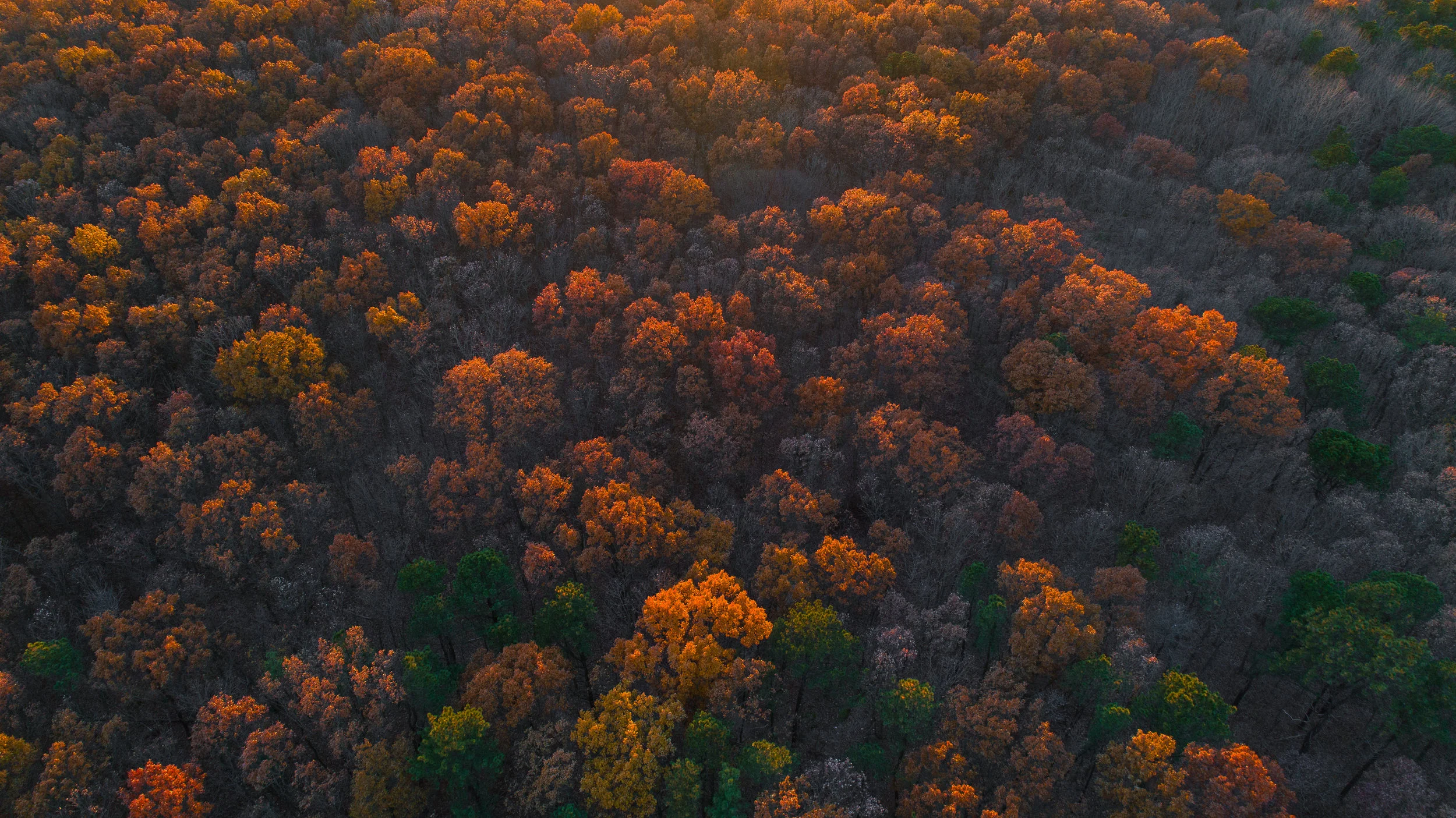 DJI_0179.jpg
