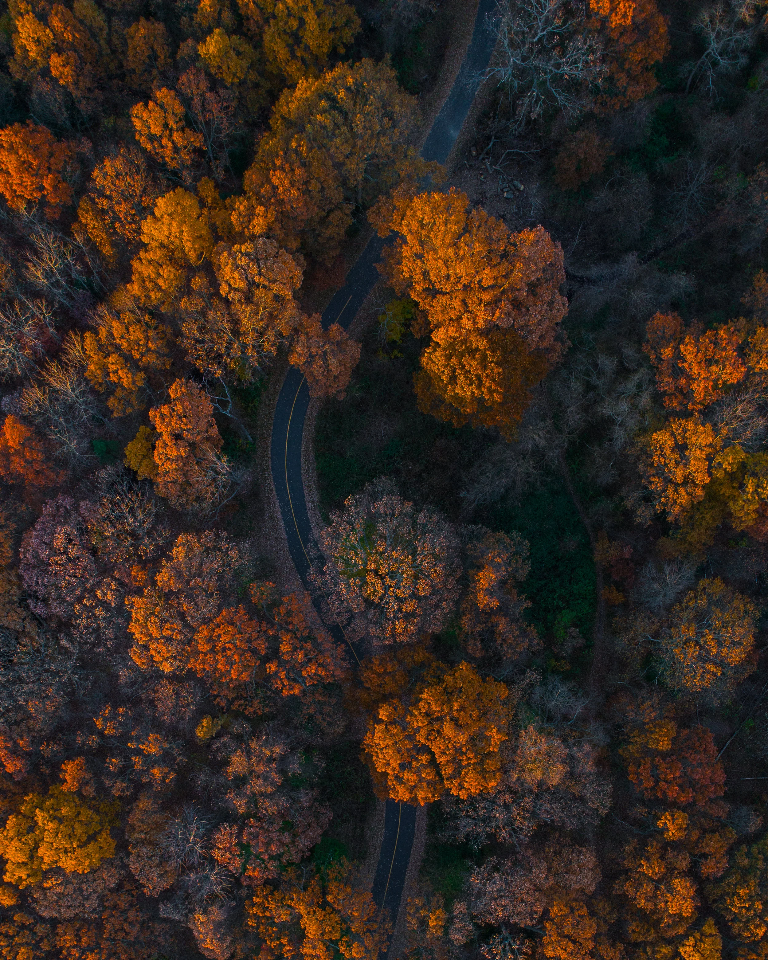 DJI_0177.jpg