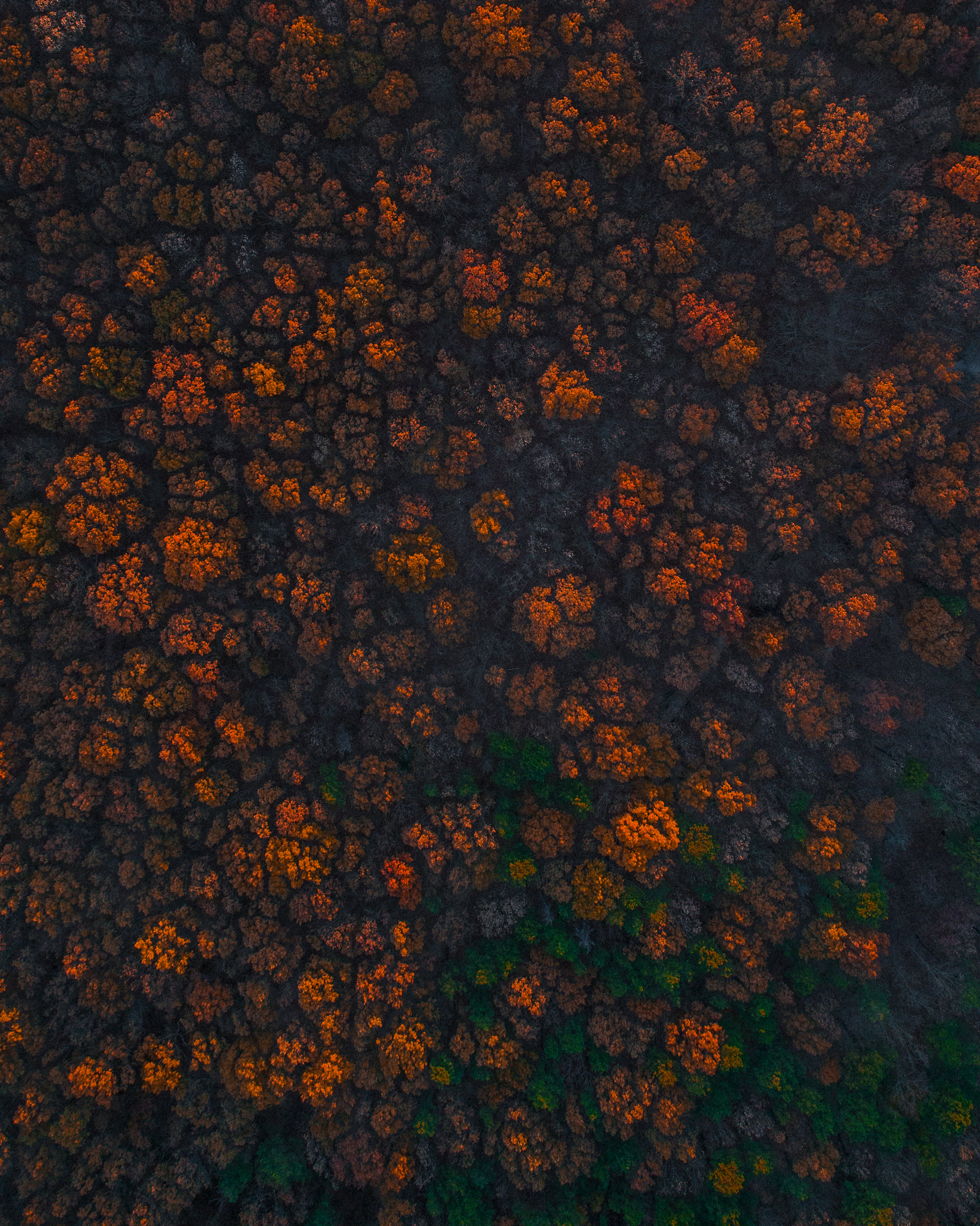 DJI_0181.jpg