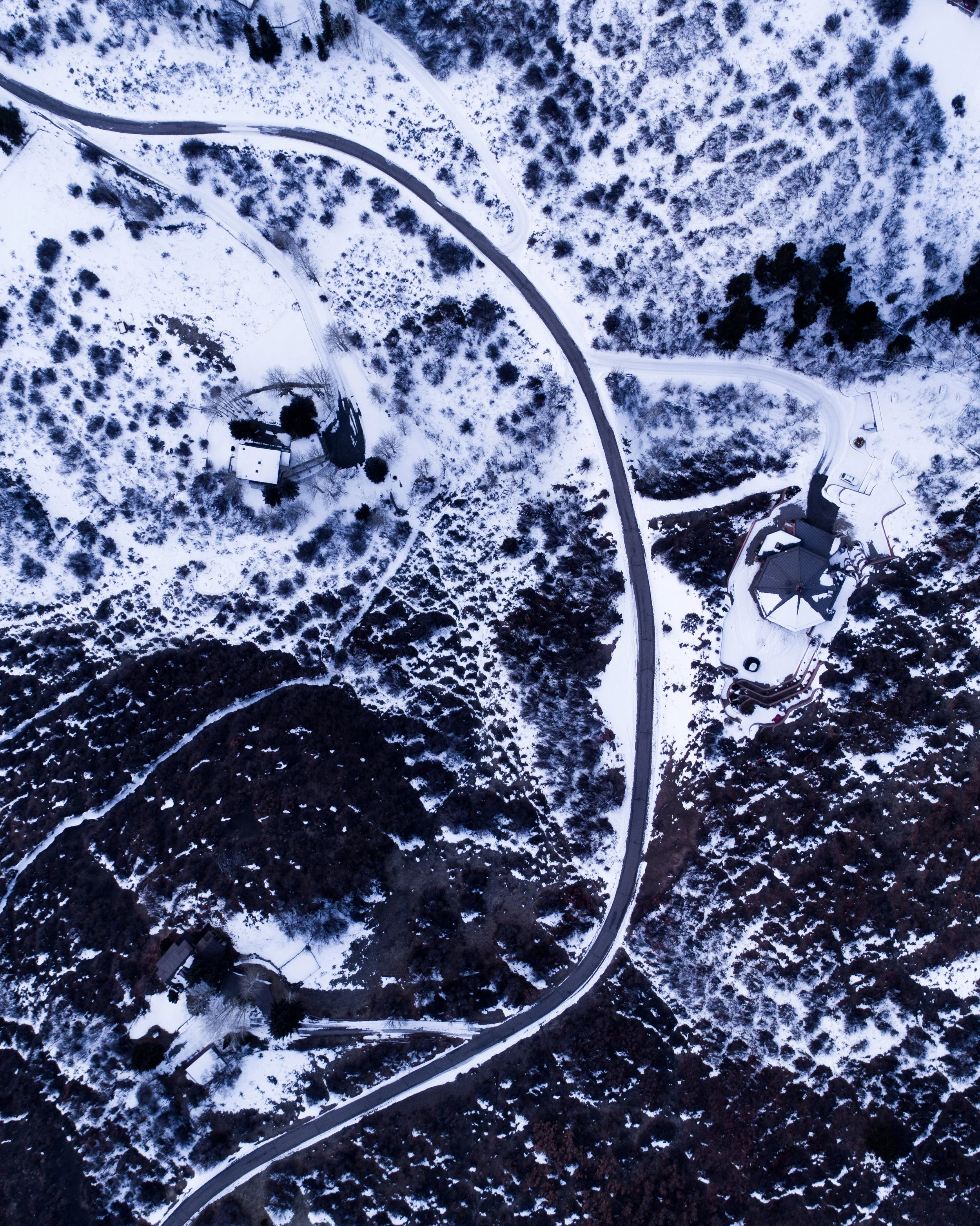 DJI_0264.jpg