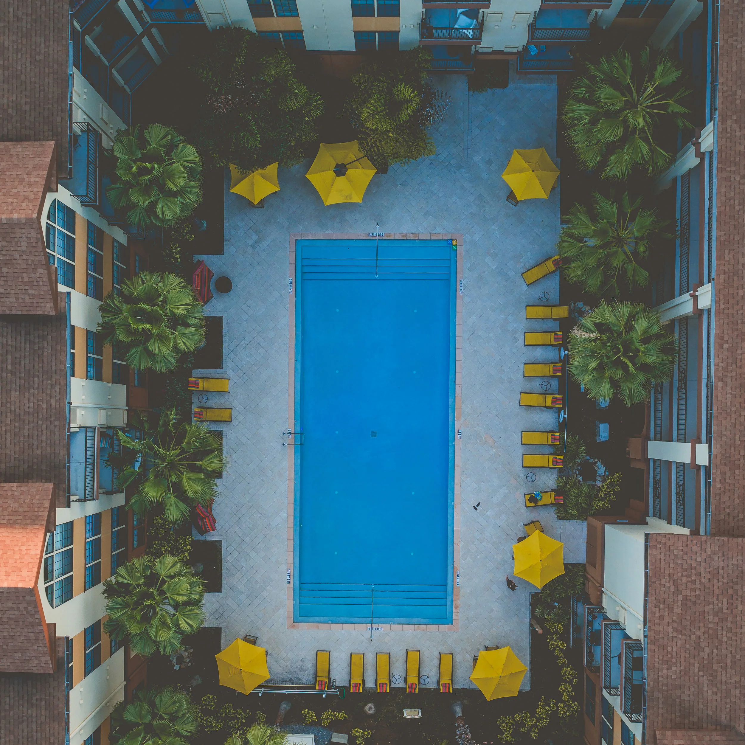 DJI_0123.jpg