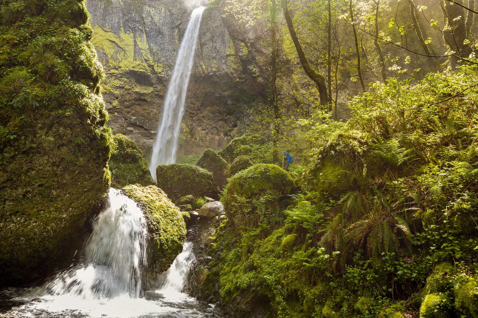 Filtered light at Elowah Falls