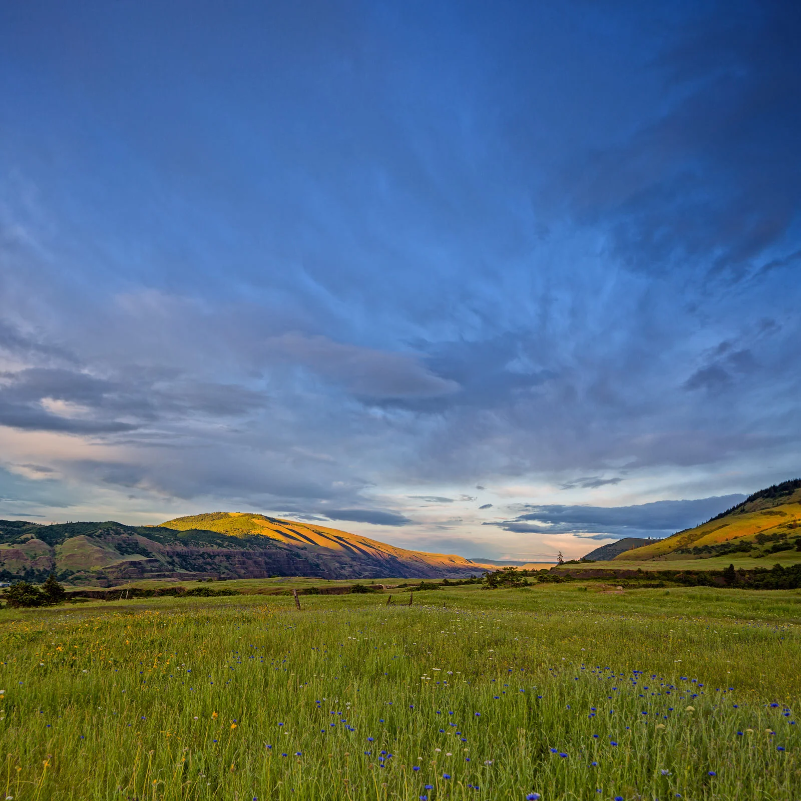 Sunset over Rowena Crest