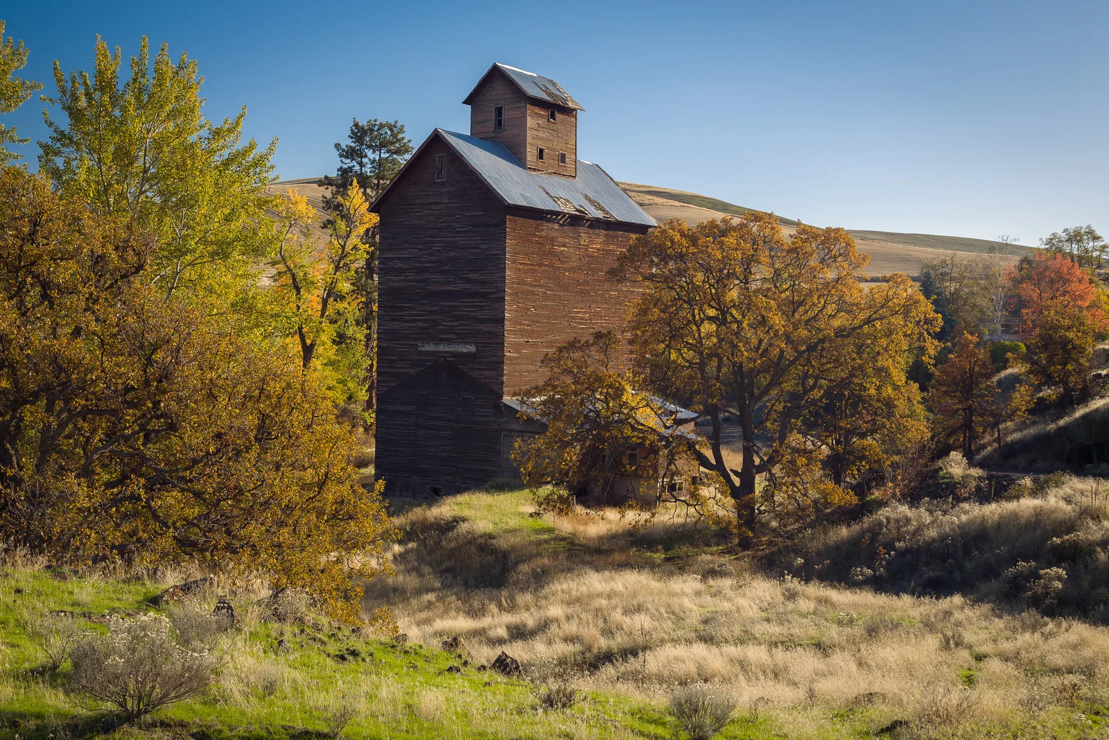 Old grain elevator near Boyd, Oregon
