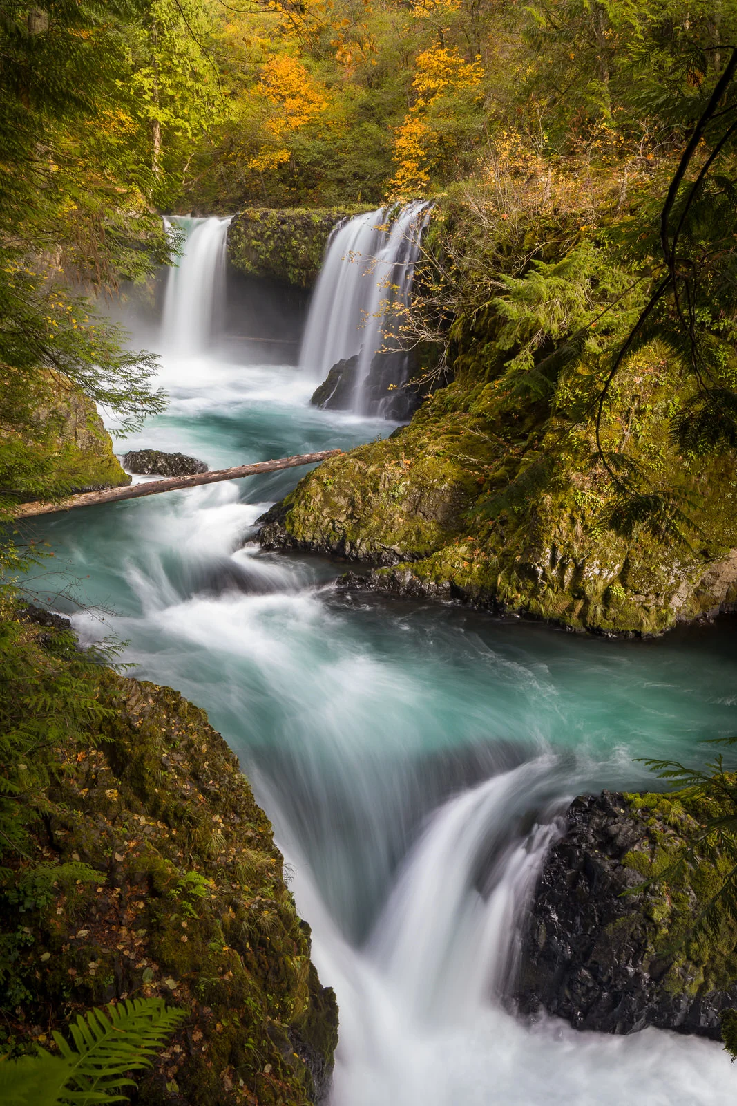 Fall colors at Spirit Falls (vertical)