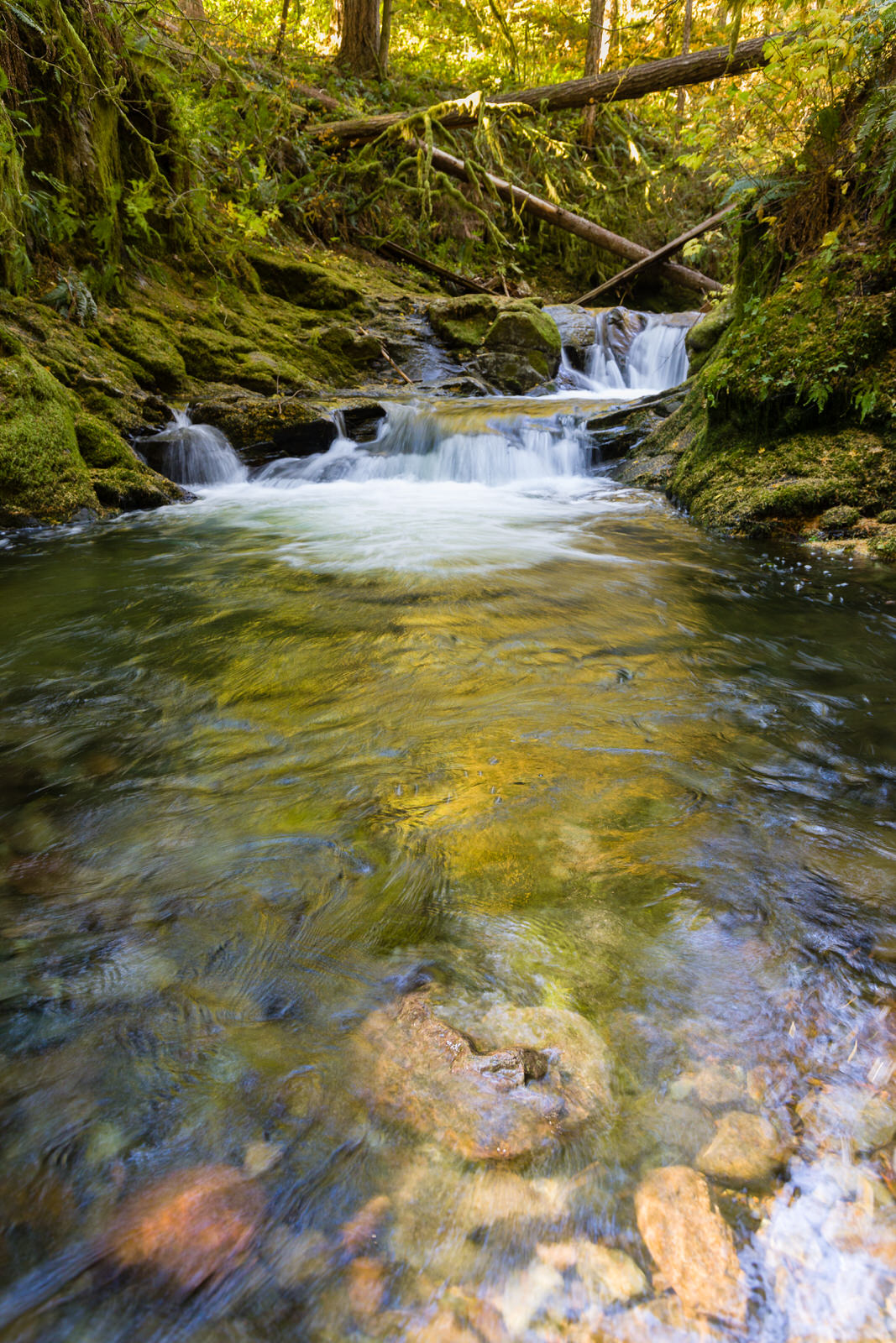  Reflected color at Duncan Creek 