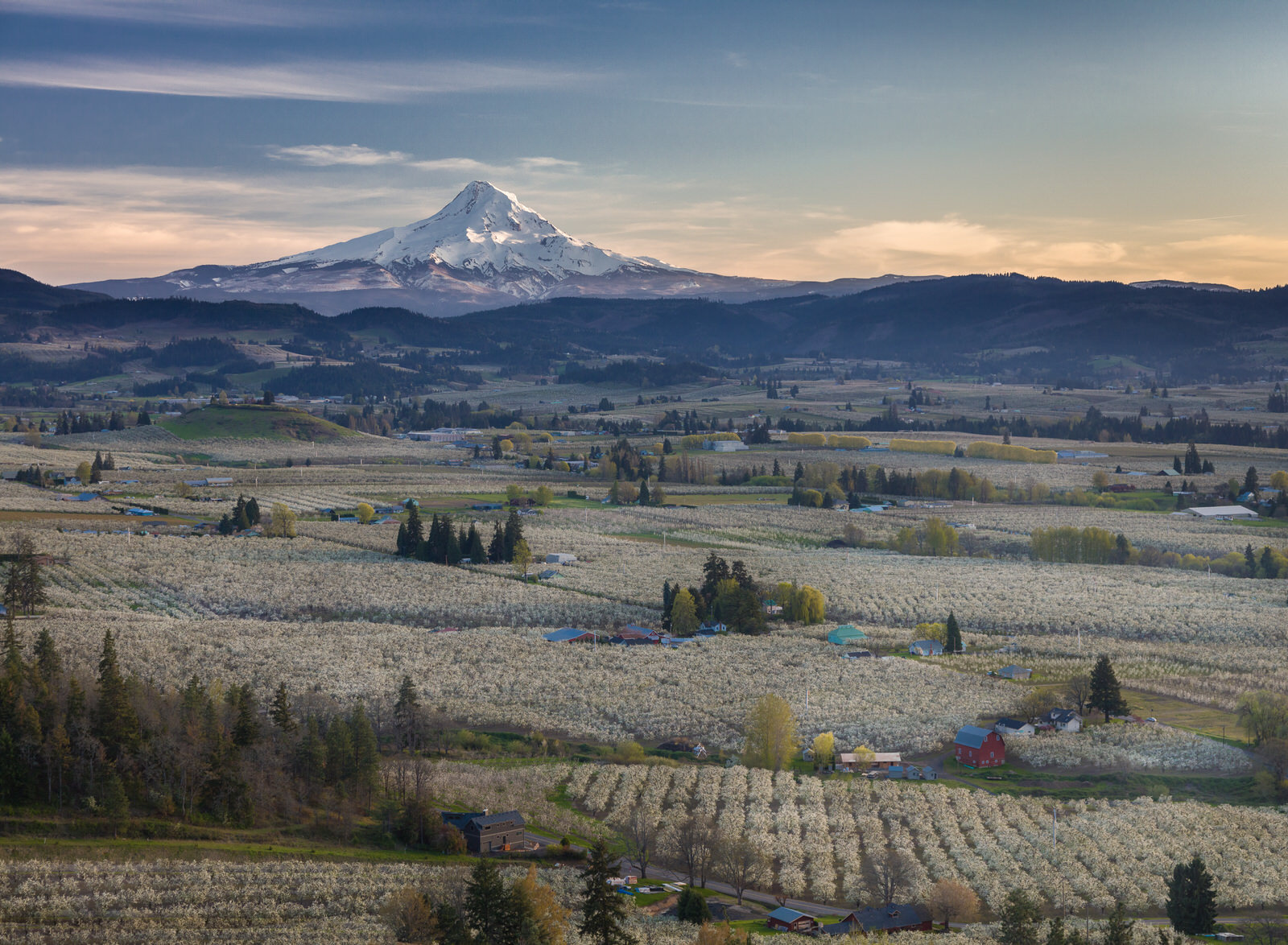  Hood River Valley in Blossom 