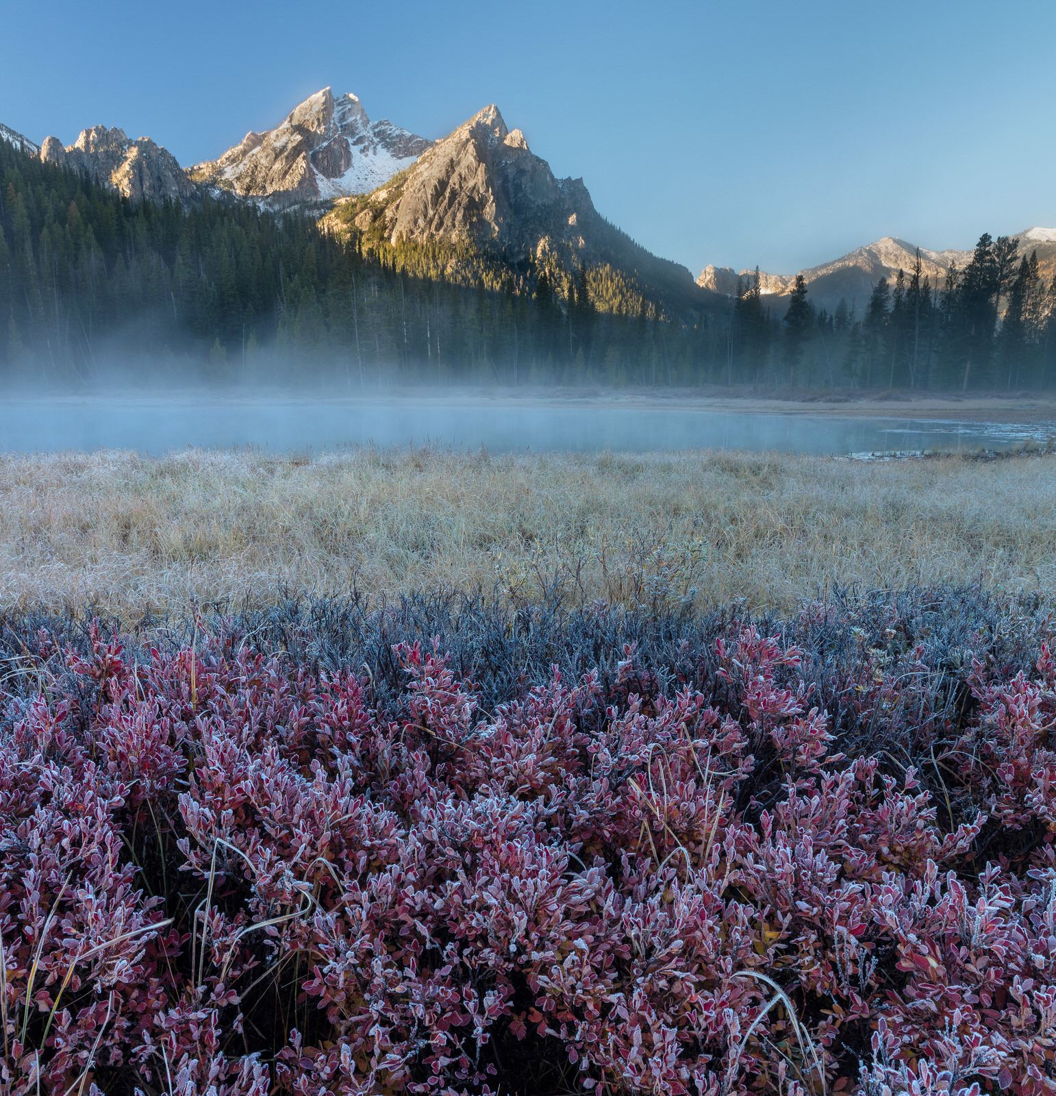  Mount McGowan rises behind the huckleberry and marsh grass near Stanley Lake, Idaho 