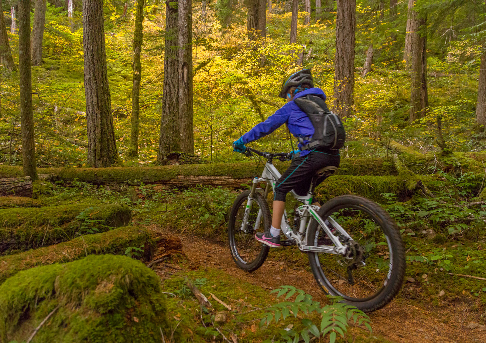  Mountain biking the McKenzie River Trail 