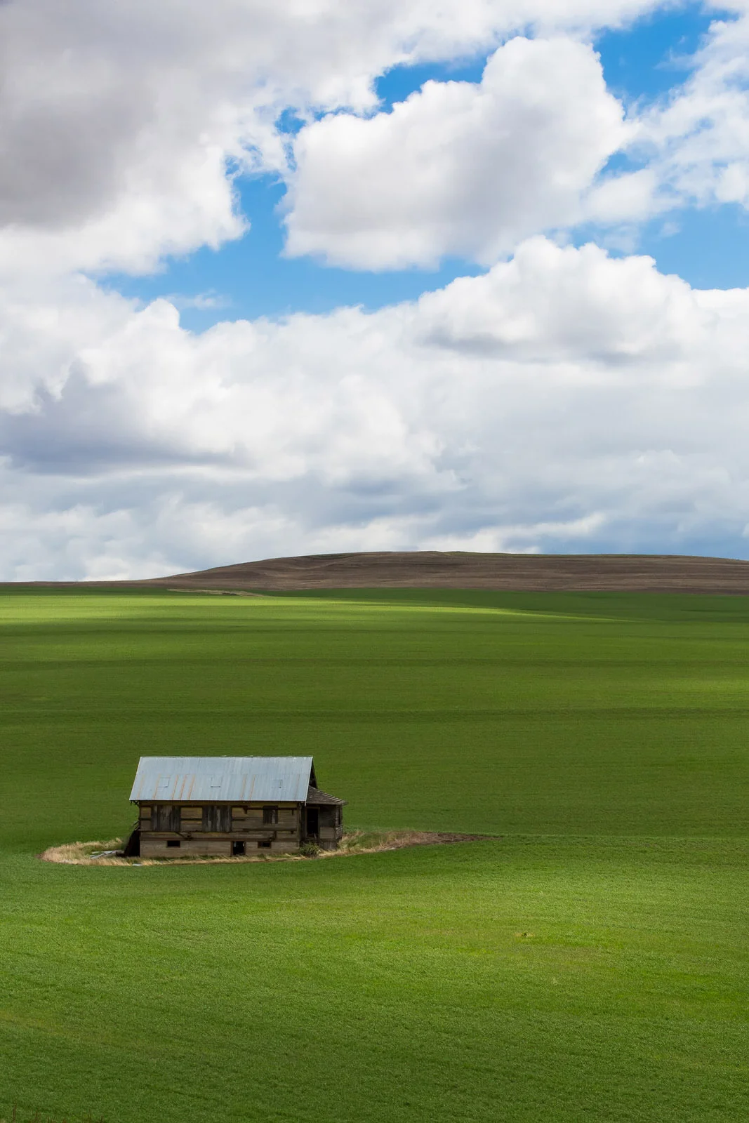 Dappled light on the lush green fields of eastern Oregon
