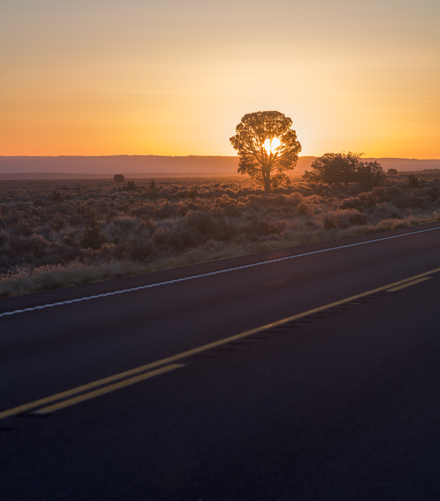  Sunrise silhouette along the Central Oregon Highway 