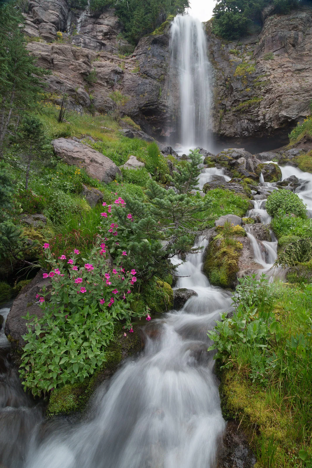Crooked Creek Falls in the heart of Bird Creek Meadows