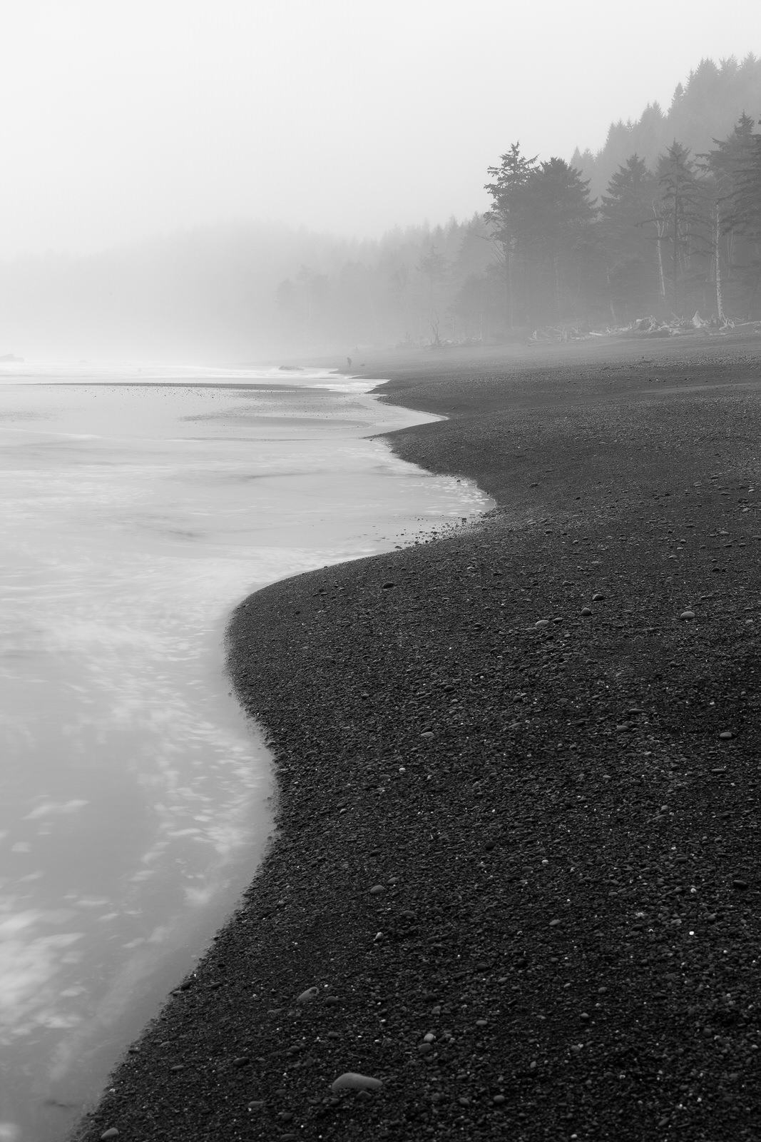  Foggy morning at Rialto Beach on the Olympic Penninsula 