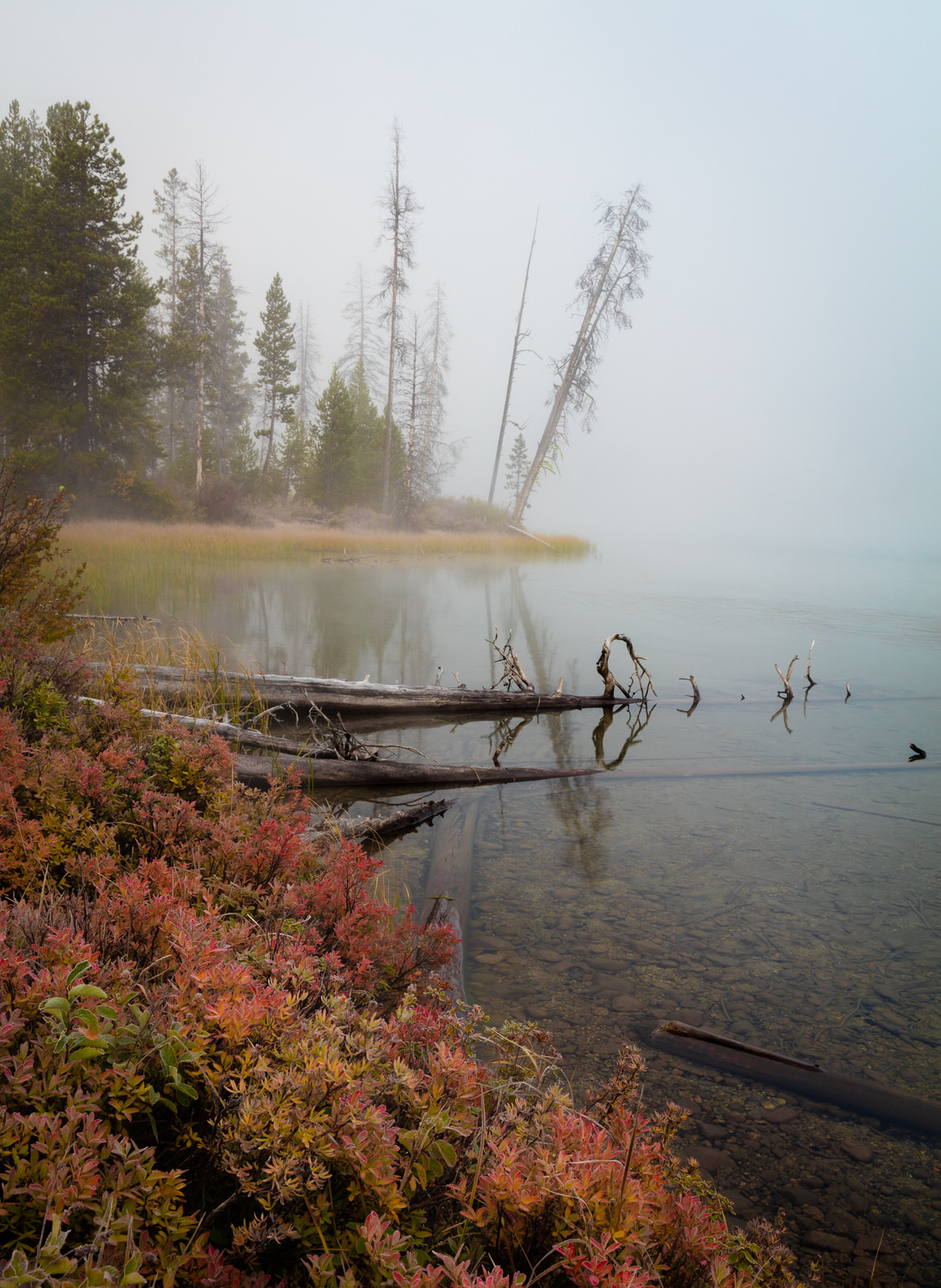  Fog and fall foliage at Little Redfish Lake near Stanley, Idaho 