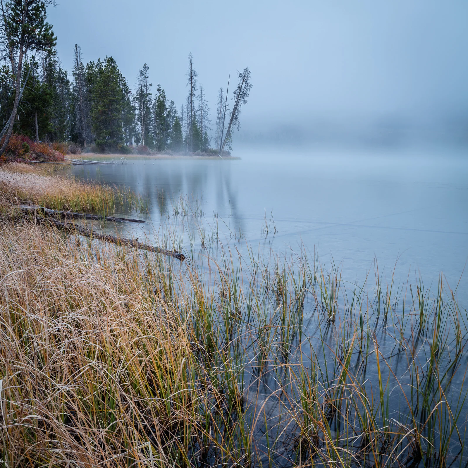 Frosty morning at Little Redfish Lake near Stanley, Idaho