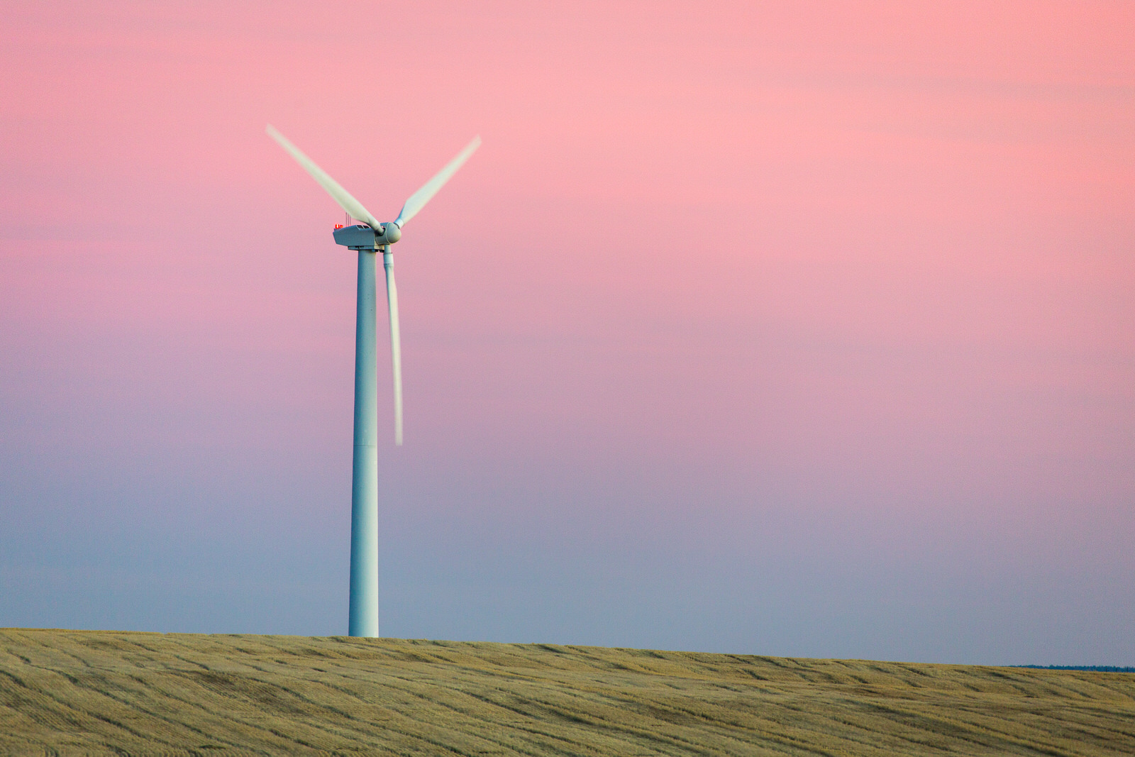  Lone wind turbine in a wheat field at dusk near Wasco, Oregon 