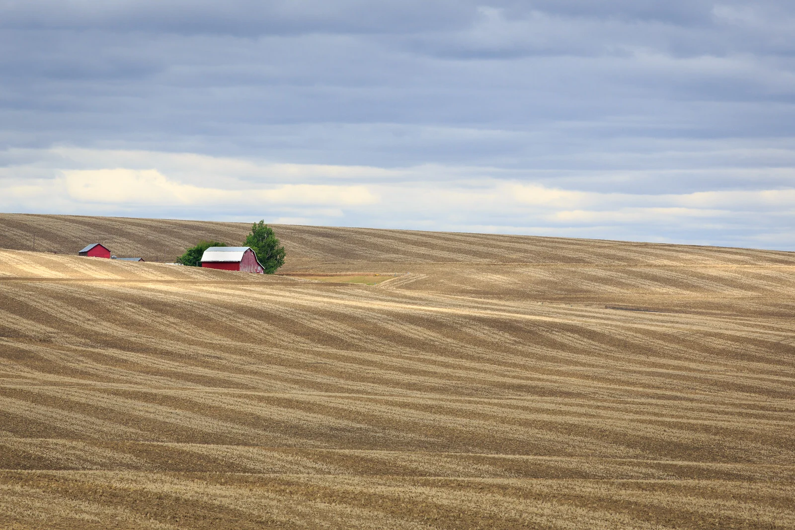 Red barn after the harvest in eastern Oregon